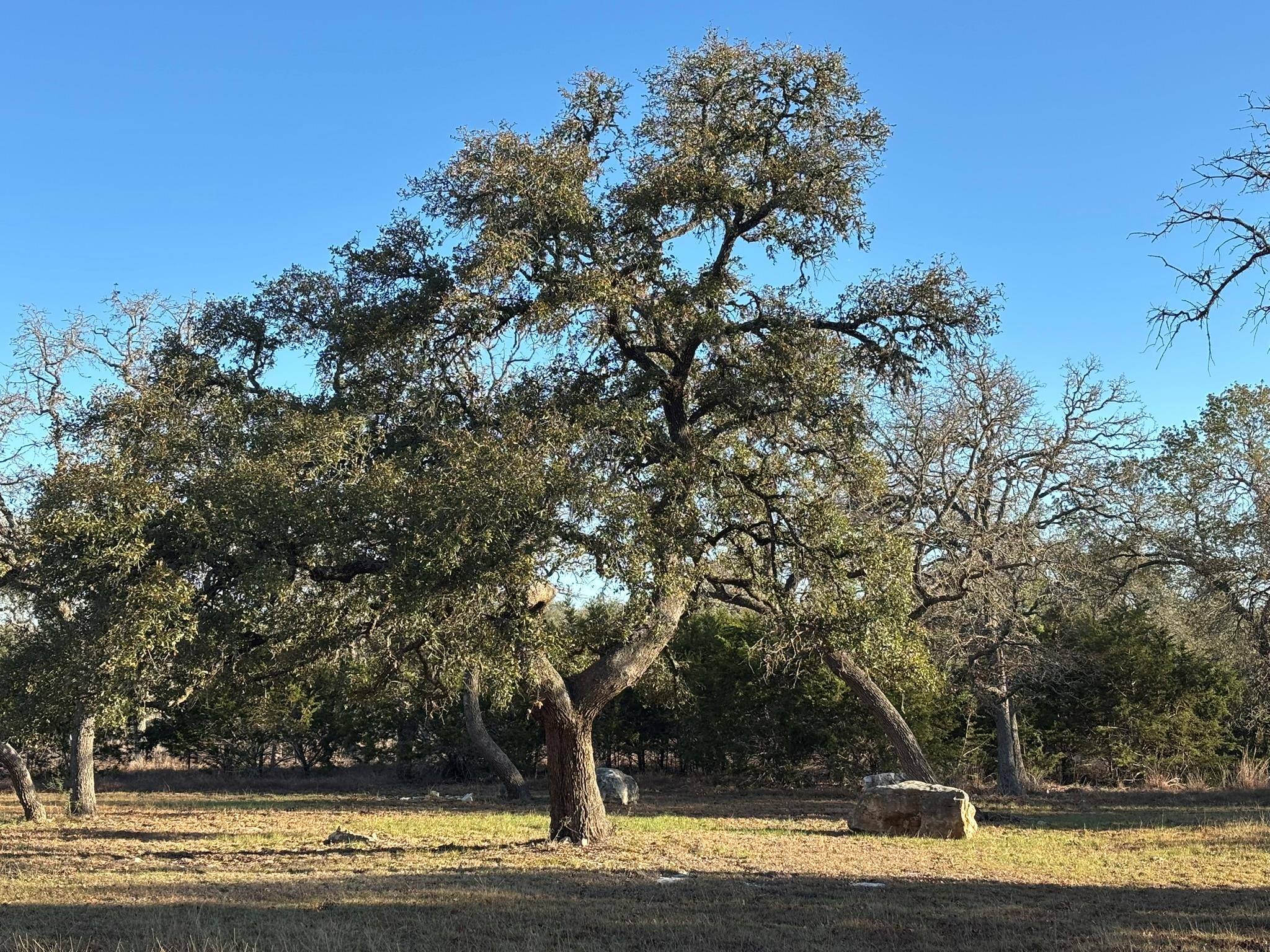 944 Fm 3351, Boerne, TX 78006