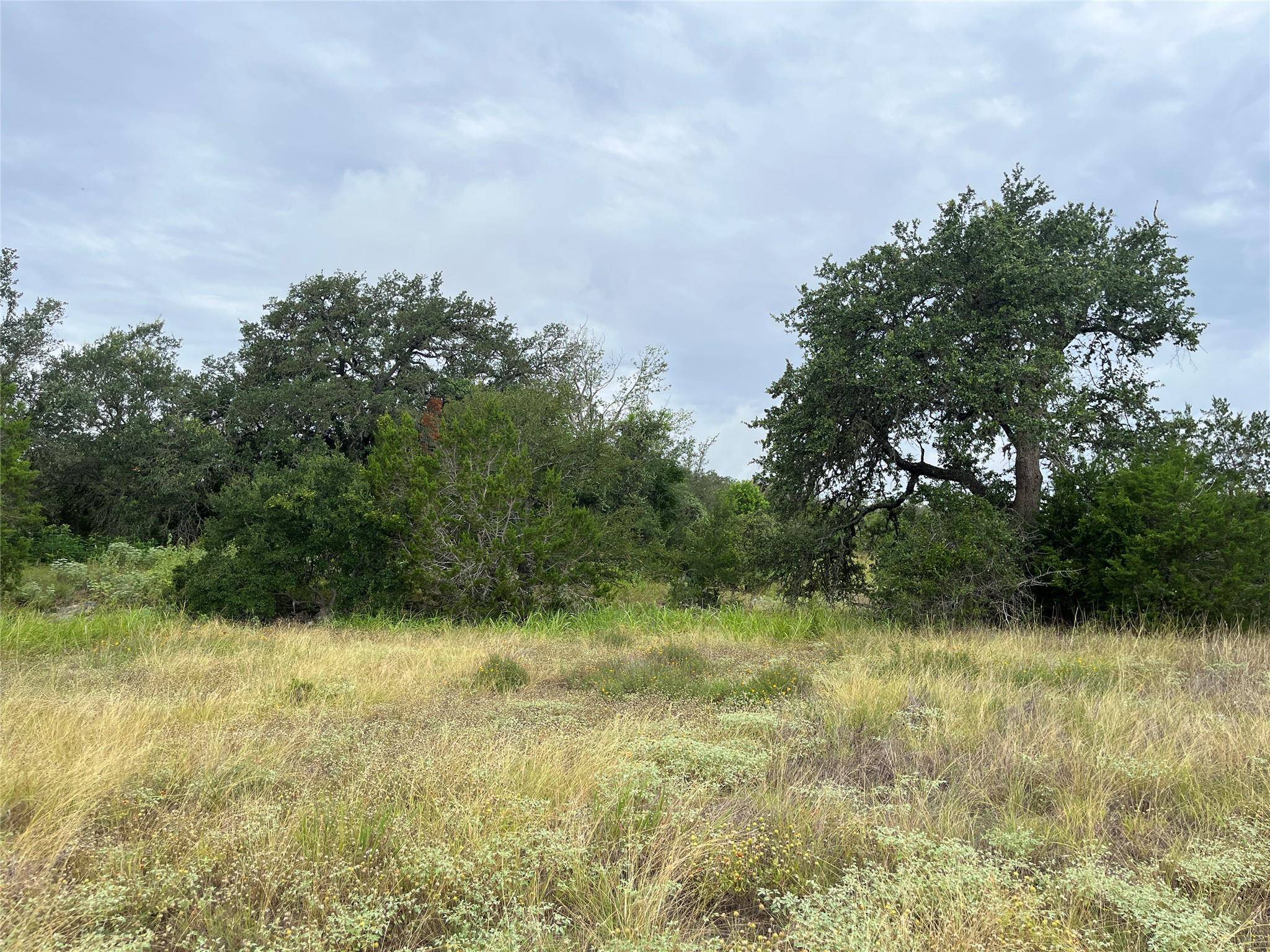0 Arbor TRL, Buda, TX 78610