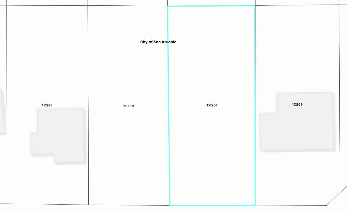 163 DORIE ST ST, San Antonio, TX 78220