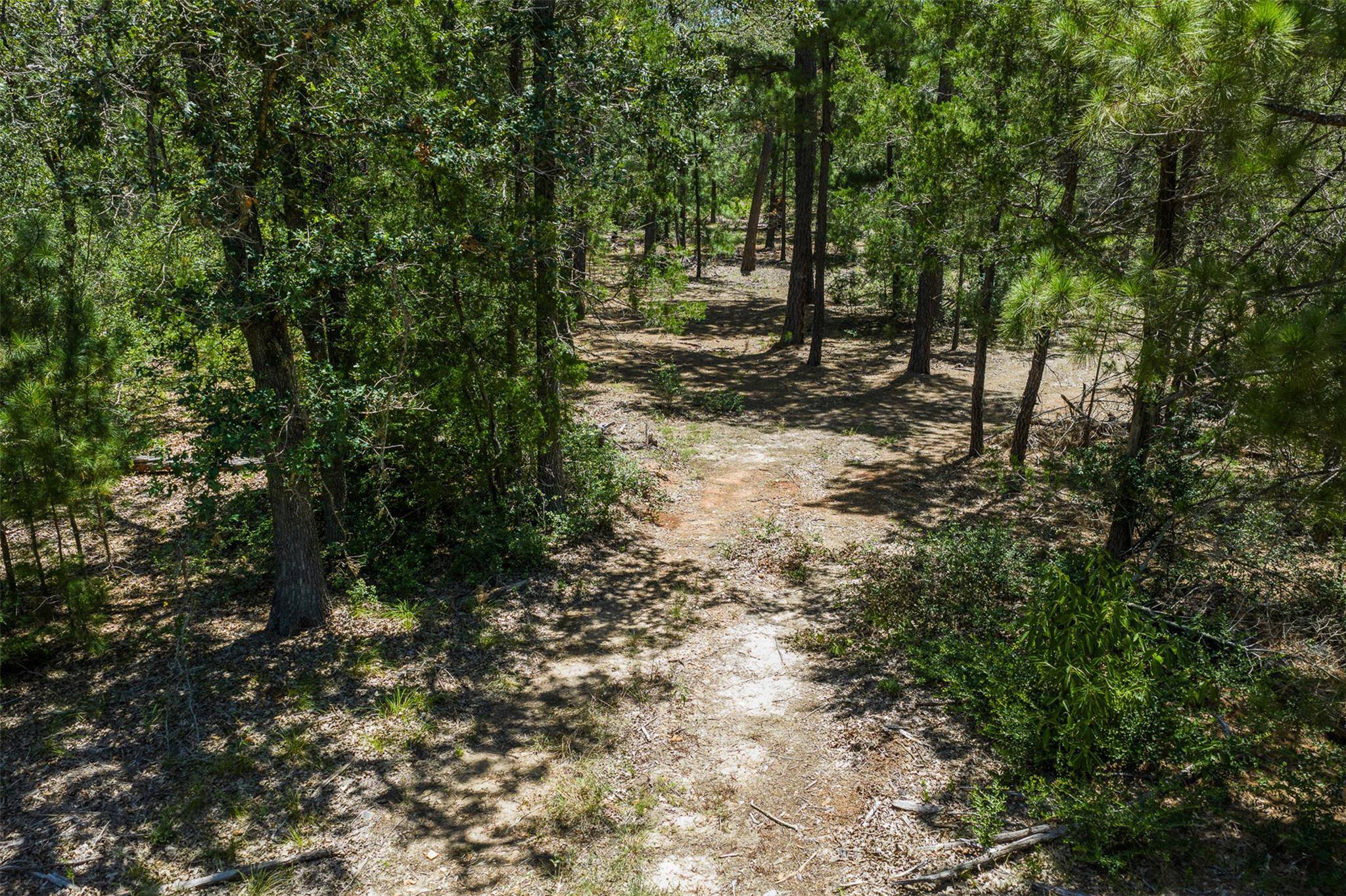 492 S Old Potato RD, Paige, TX 78659
