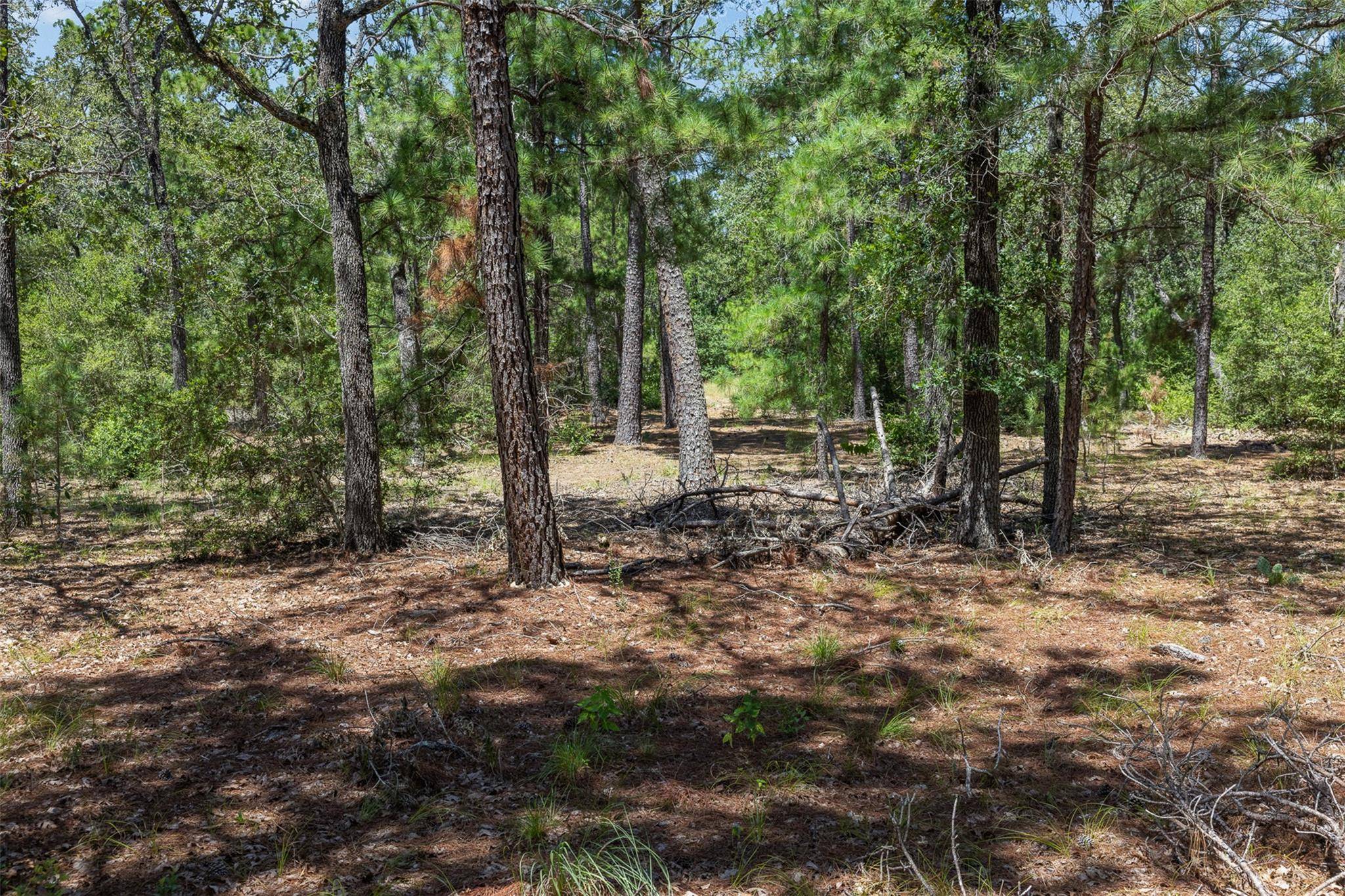 492 S Old Potato RD, Paige, TX 78659