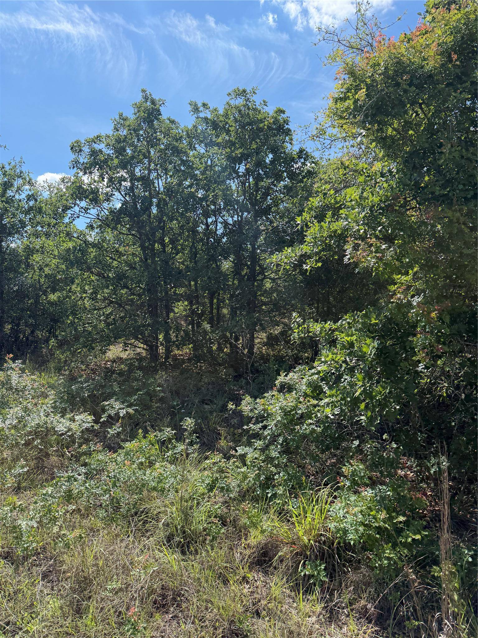 TBD Mockingbird LN, Bastrop, TX 78602