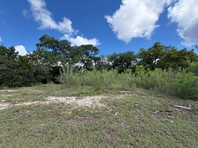 19615 Terra Mont DR, San Antonio, TX 78255