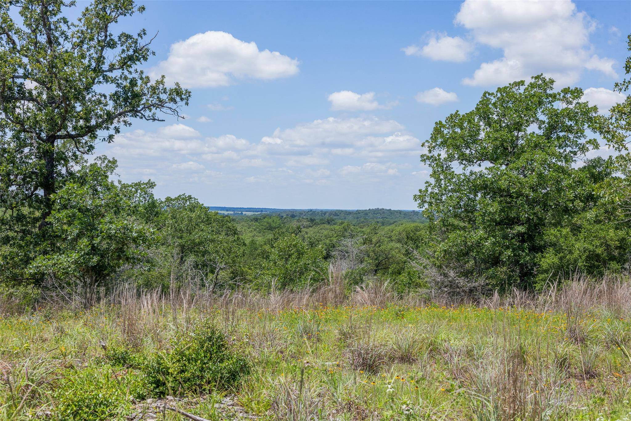1004 22 Hills RD, Gause, TX 77857