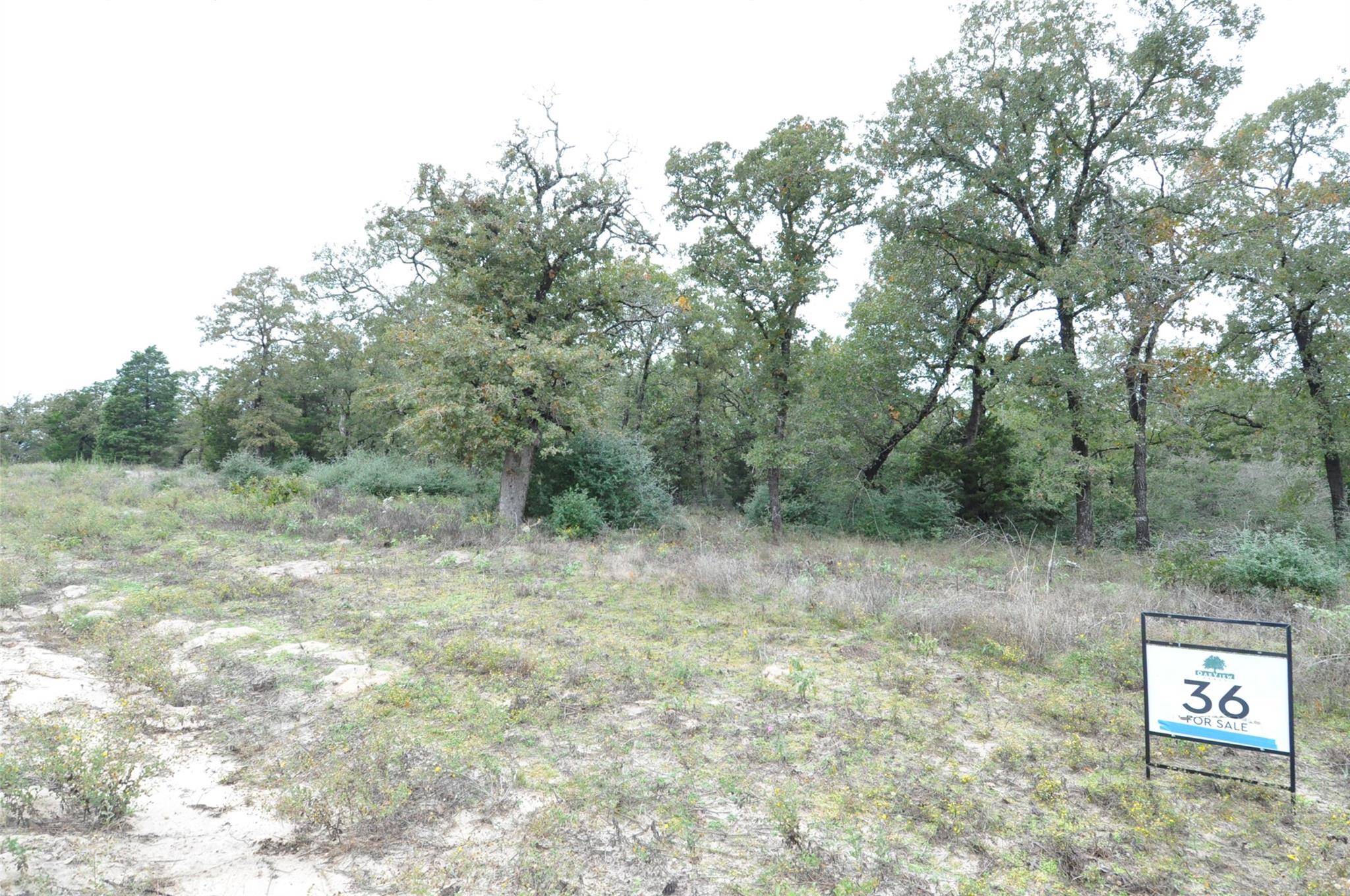 TBD OakView LN, Thrall, TX 76578
