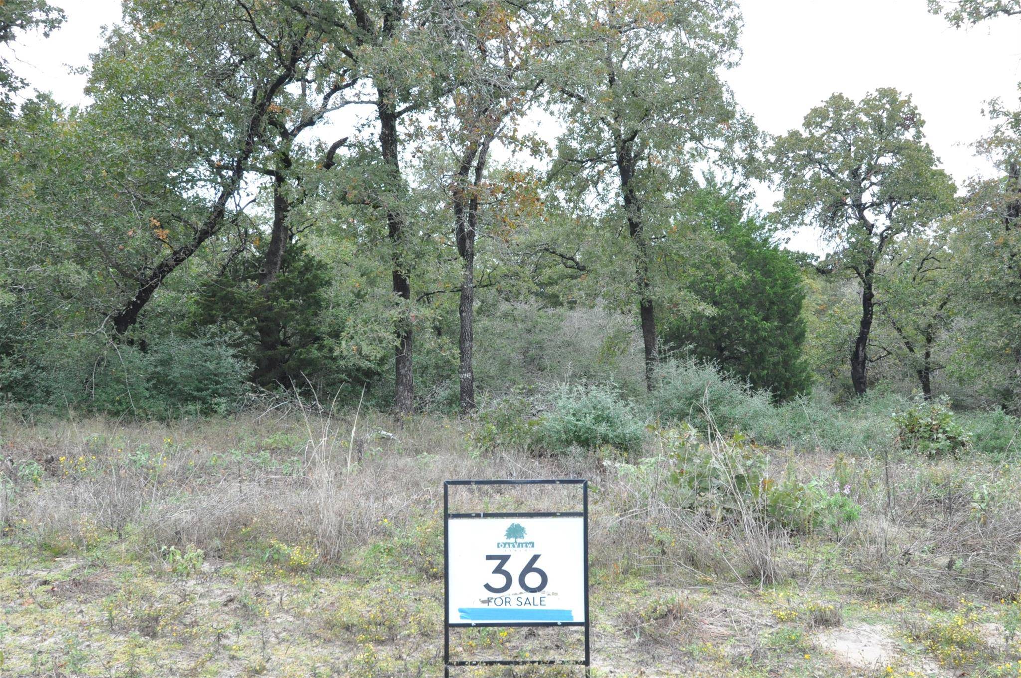 TBD OakView LN, Thrall, TX 76578