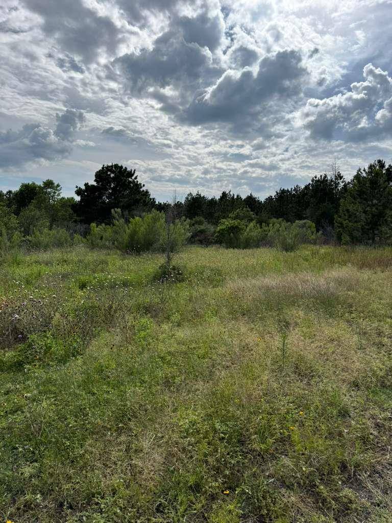 109 Pintail LN, Paige, TX 78659
