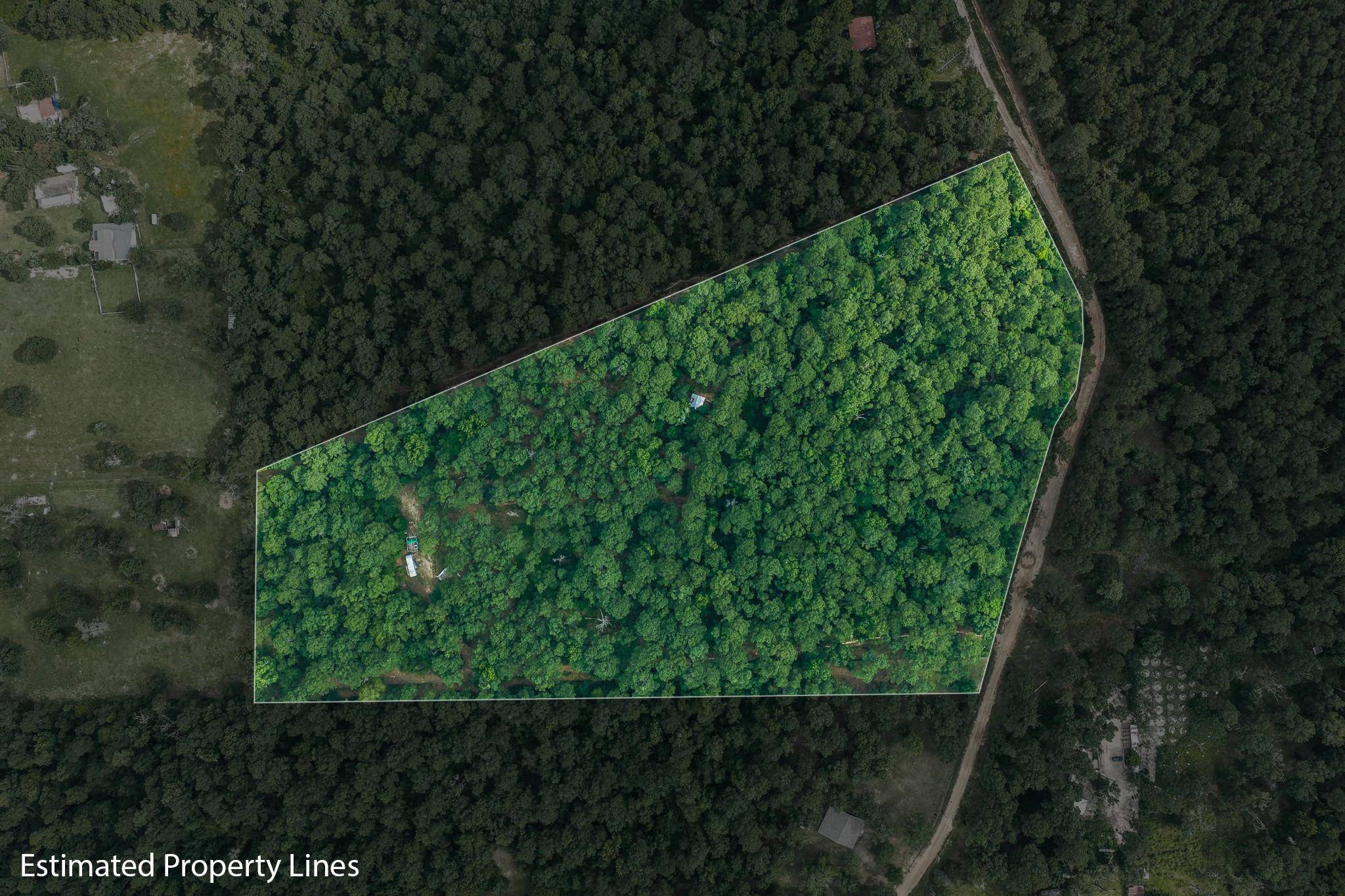 5772 PR 2065, Centerville, TX 75833