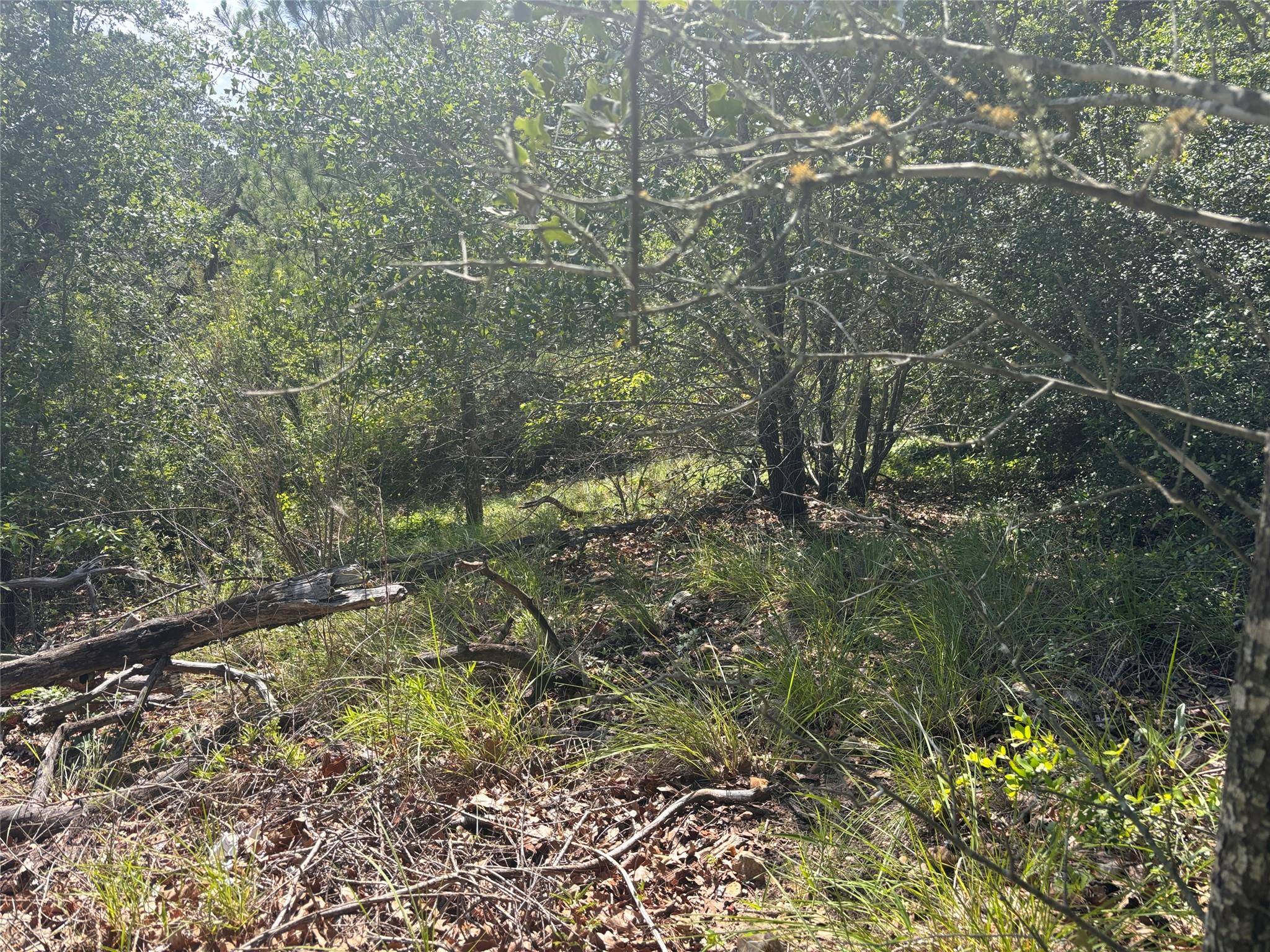 Lot 1541 Pahoiki LN, Bastrop, TX 78602