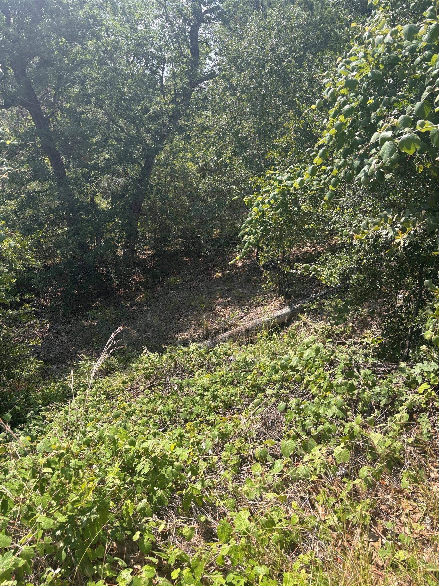 Lot 1541 Pahoiki LN, Bastrop, TX 78602