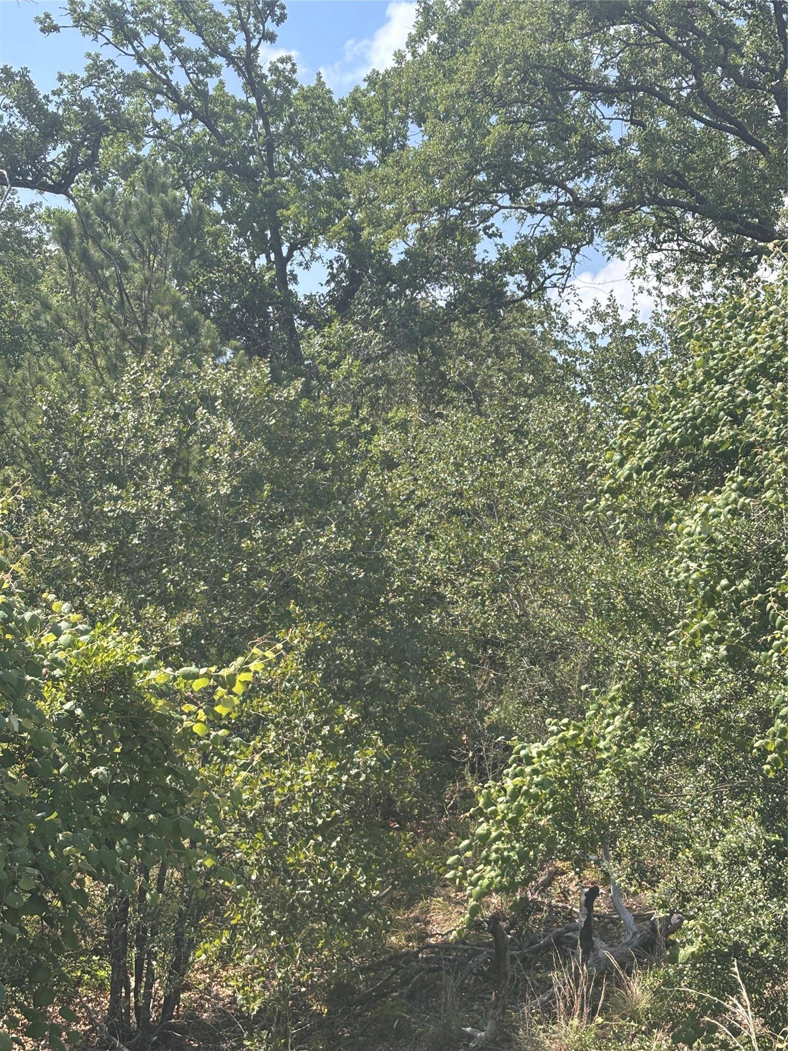 Lot 1541 Pahoiki LN, Bastrop, TX 78602