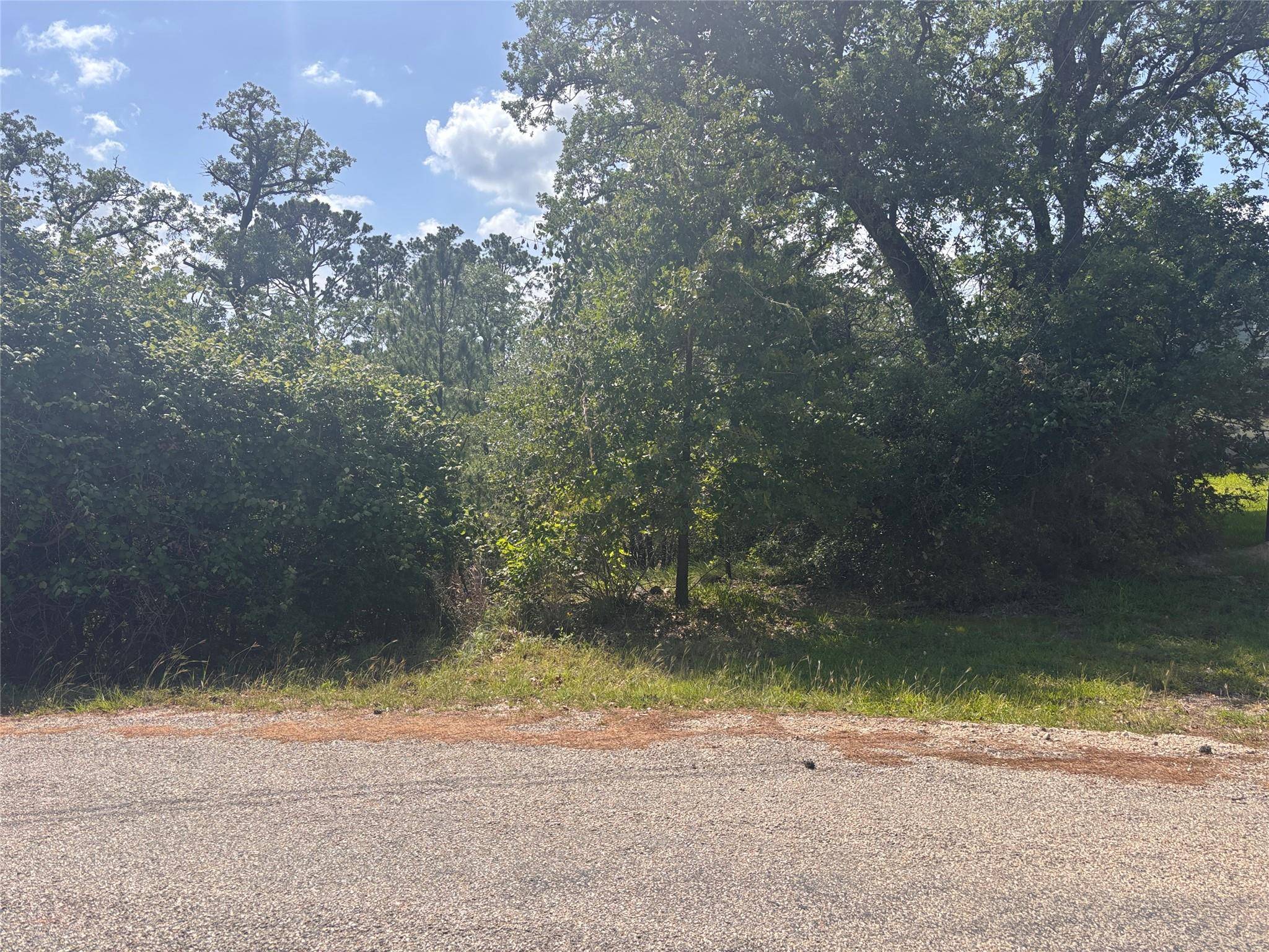 Lot 1541 Pahoiki LN, Bastrop, TX 78602