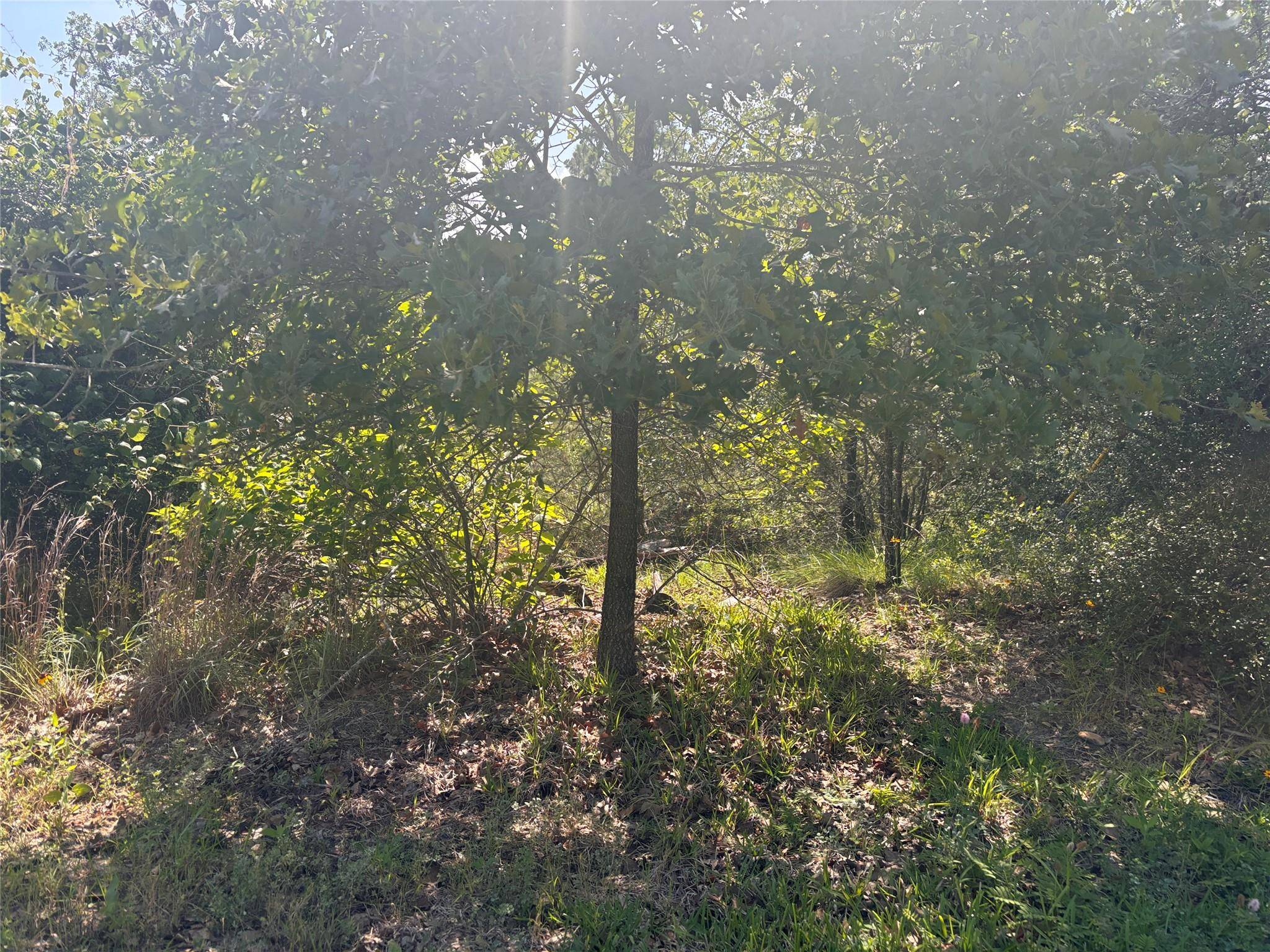 Lot 1541 Pahoiki LN, Bastrop, TX 78602
