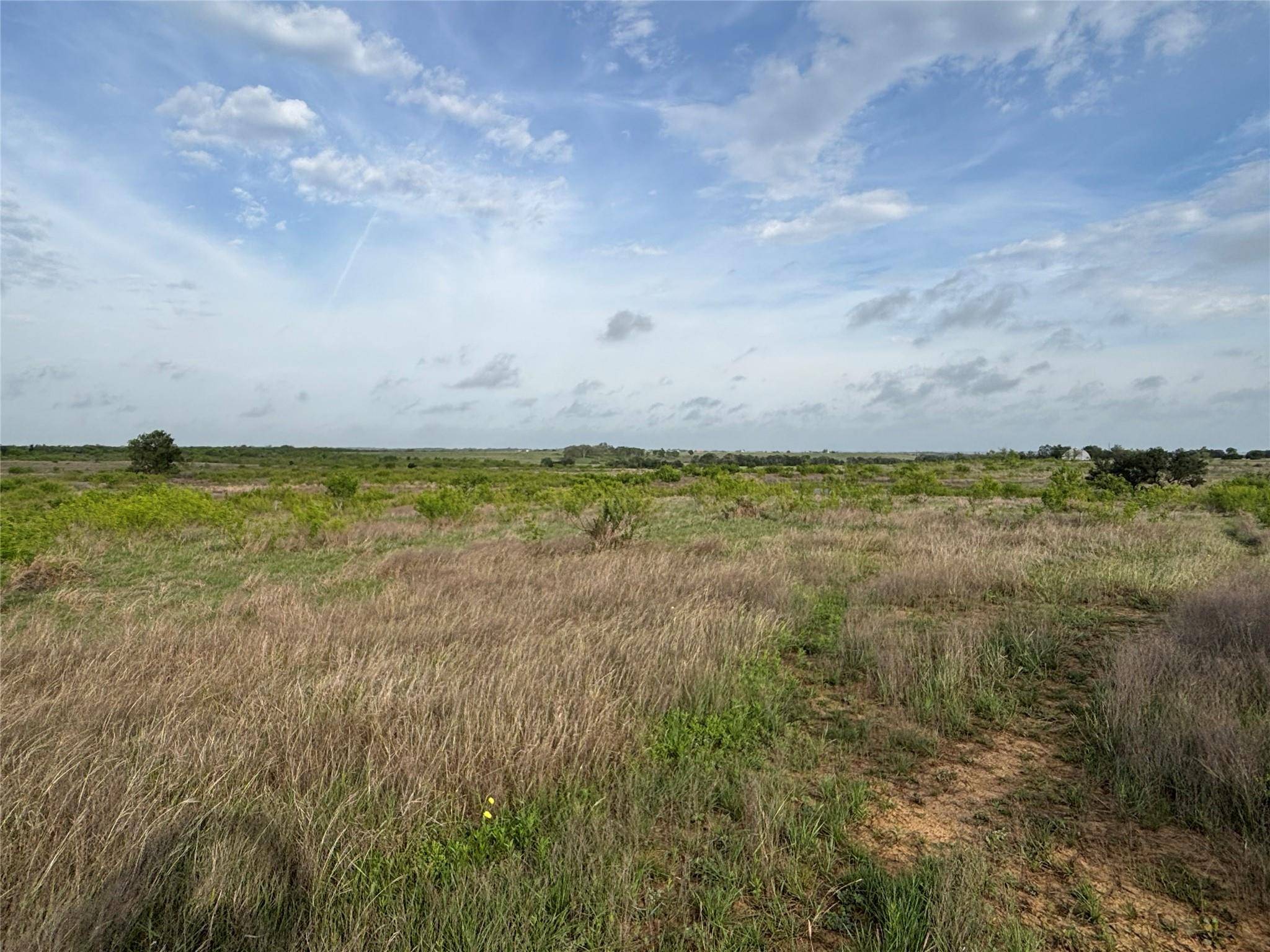 TBD CR 471, Thrall, TX 76578