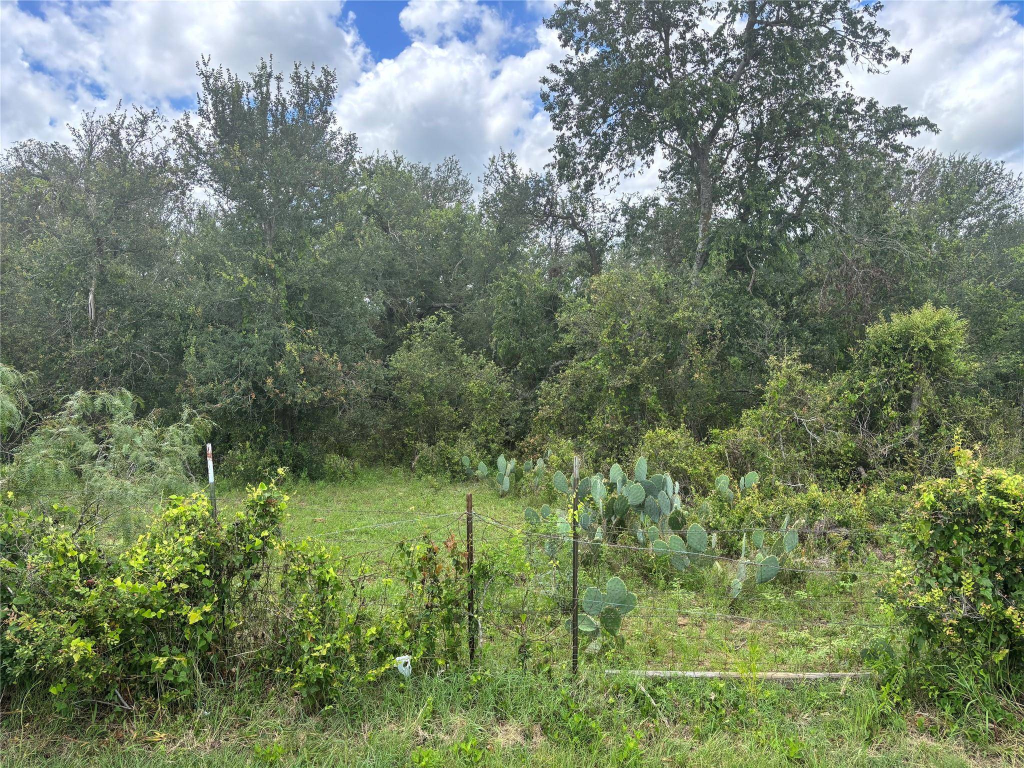 TBD CR 472, Thrall, TX 76578