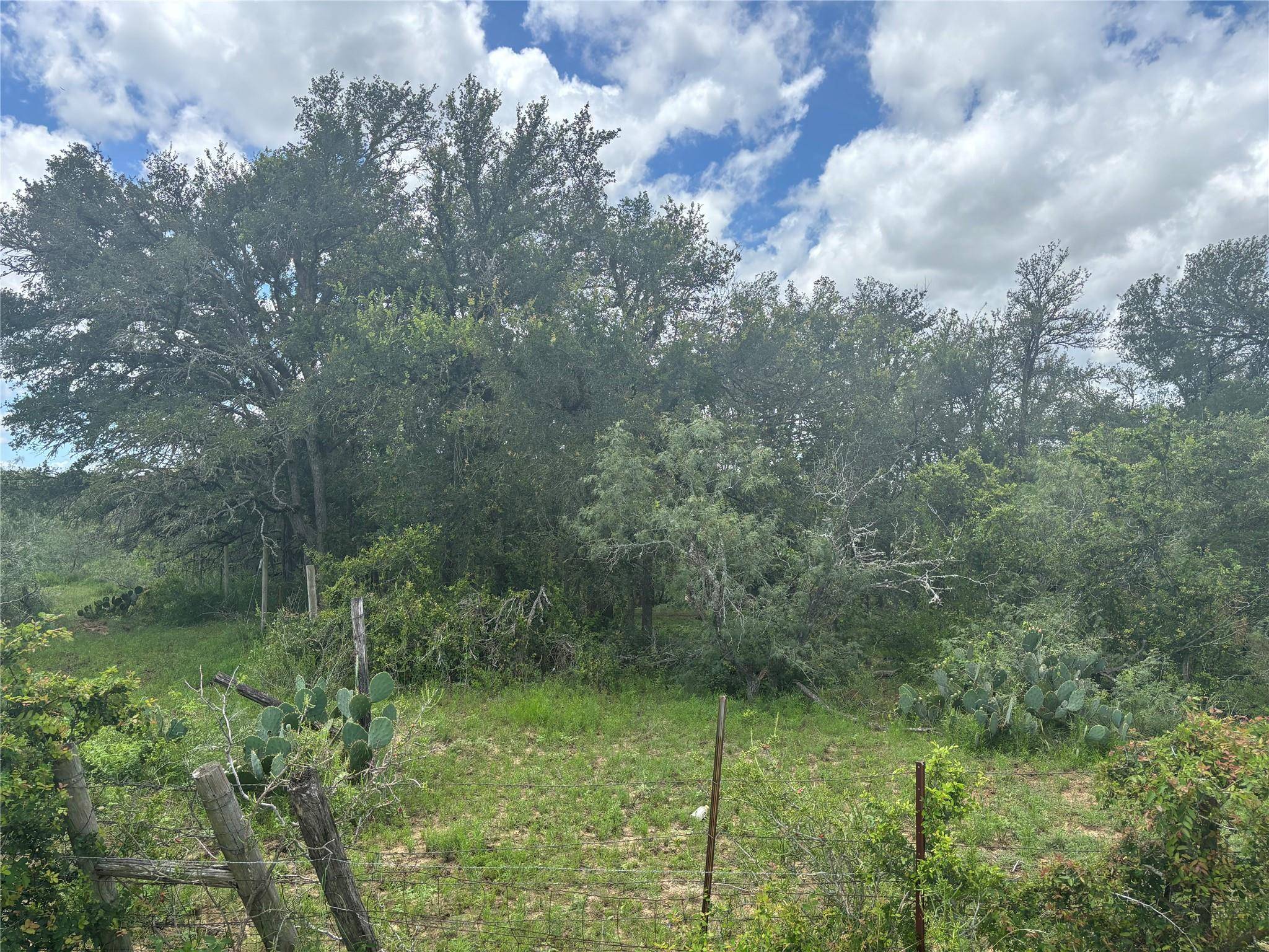 TBD CR 472, Thrall, TX 76578