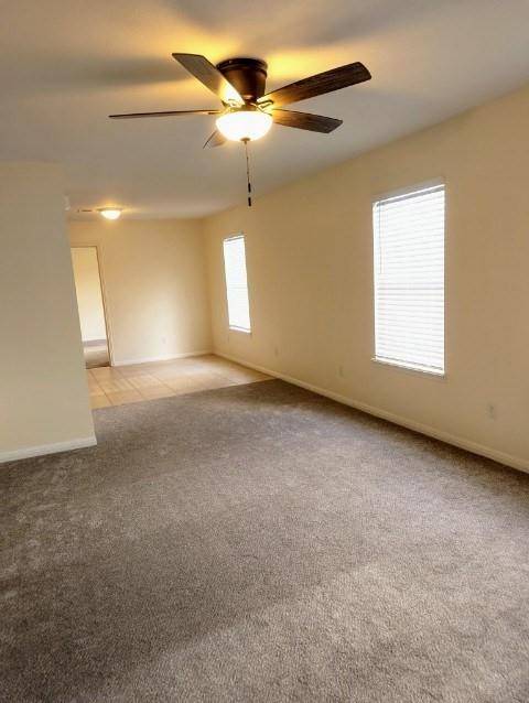 519 W Hutchison ST #C, San Marcos, TX 78666