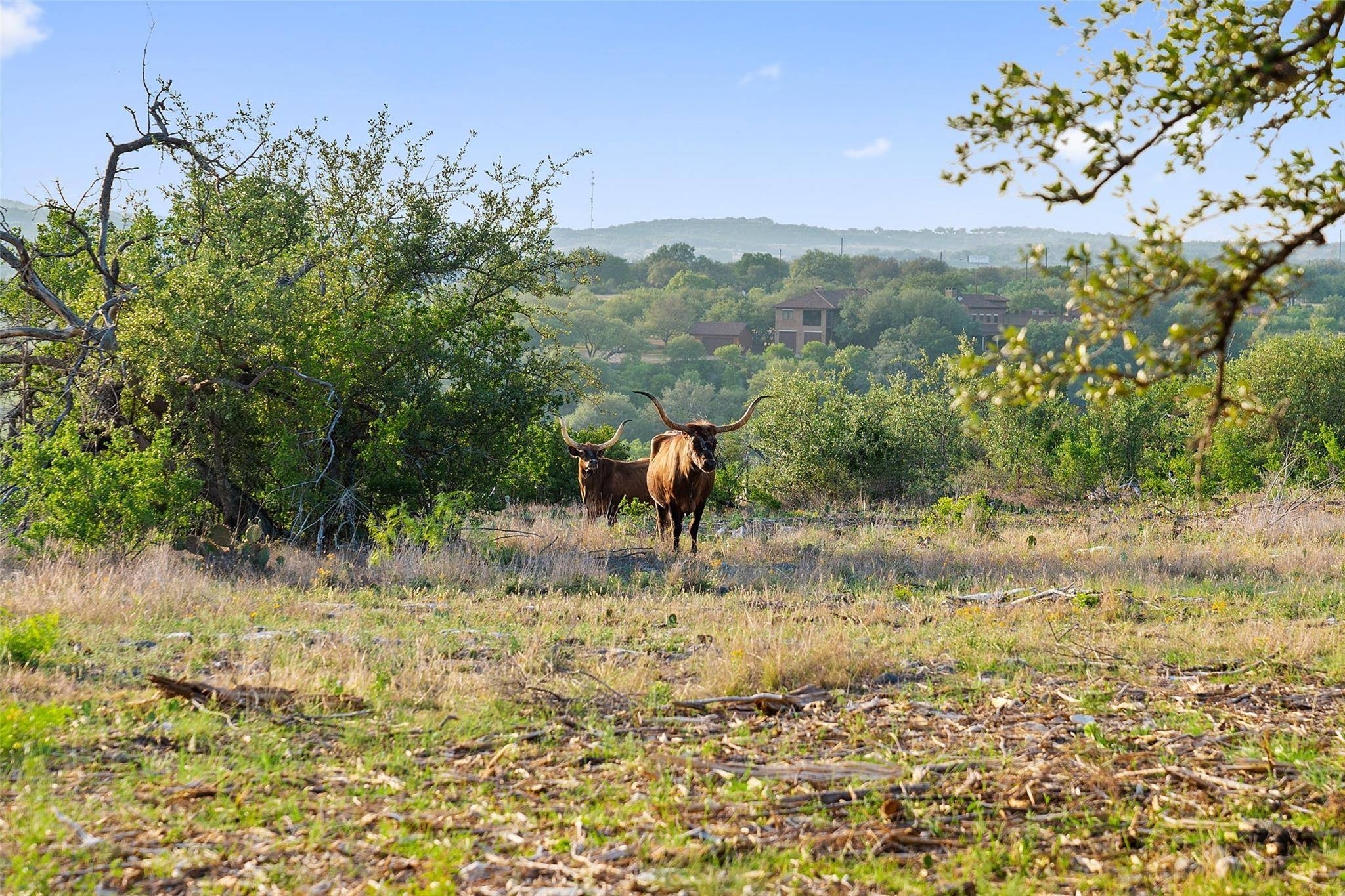Private Road #10 Pedernales Canyon TRL, Spicewood, TX 78669