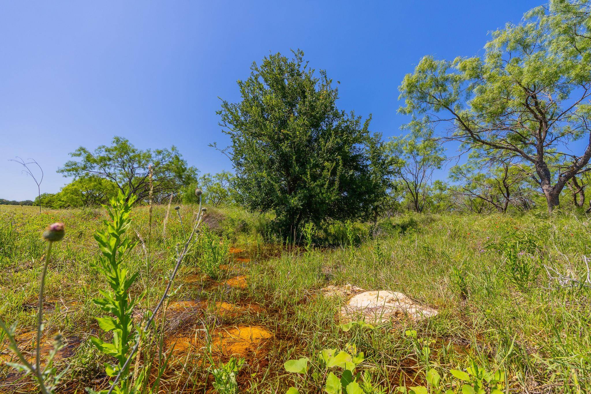 TBD County Road 180 Rolling Pond Ranch RD, Purmela, TX 76566