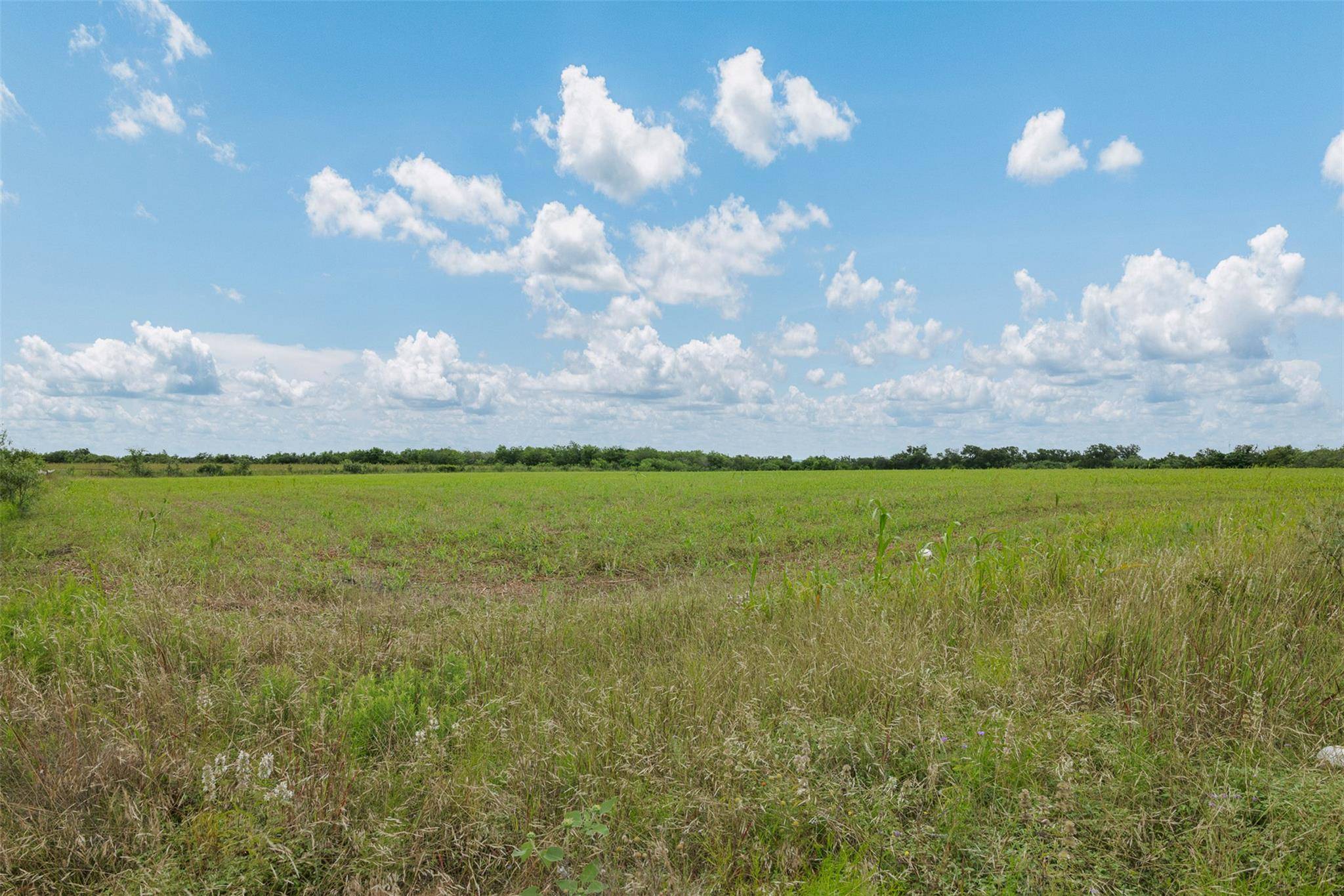 21814 Hogeye RD, Manor, TX 78653