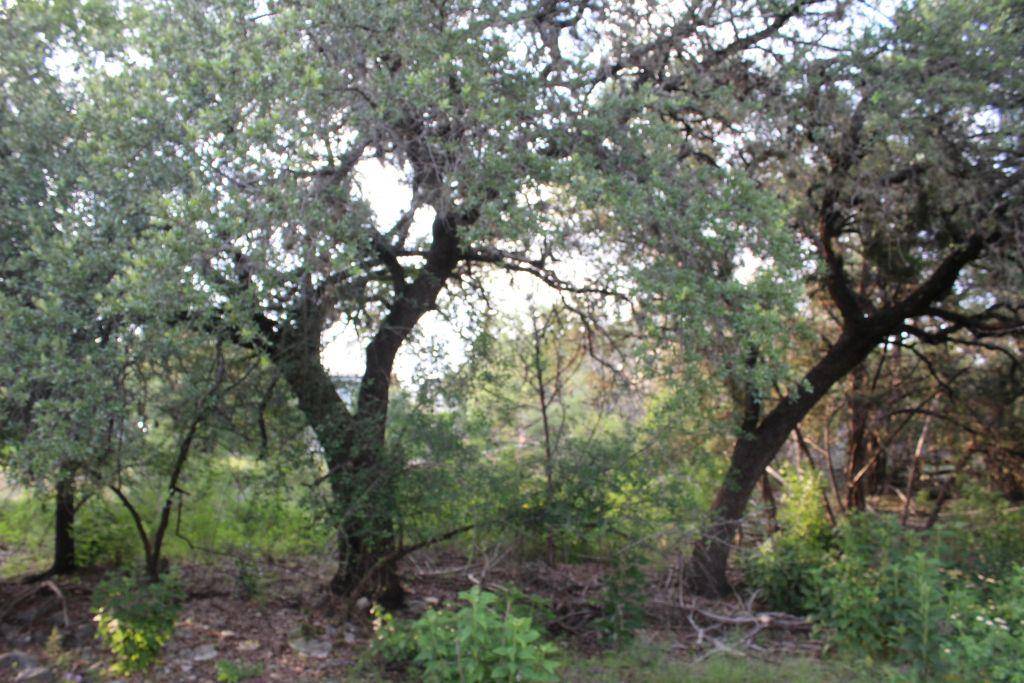 738 Deckhouse DR, Point Venture, TX 78645