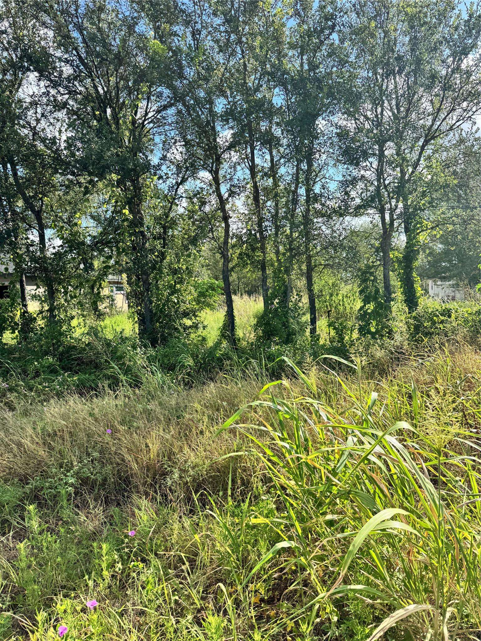 Tbd Union Chapel Rd, Cedar Creek, TX 78612