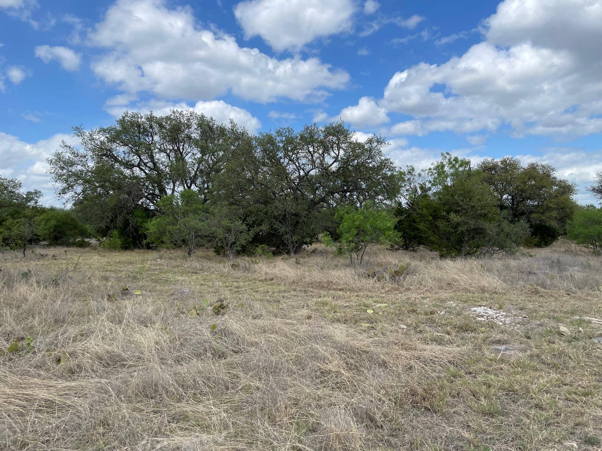 302 Vista View TRL, Spicewood, TX 78669
