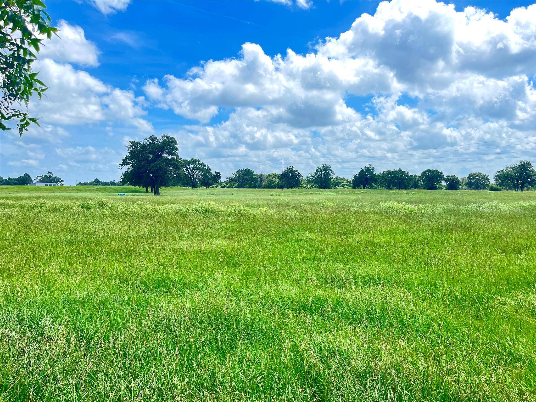 11009 HWY 77 HWY, Lexington, TX 78947