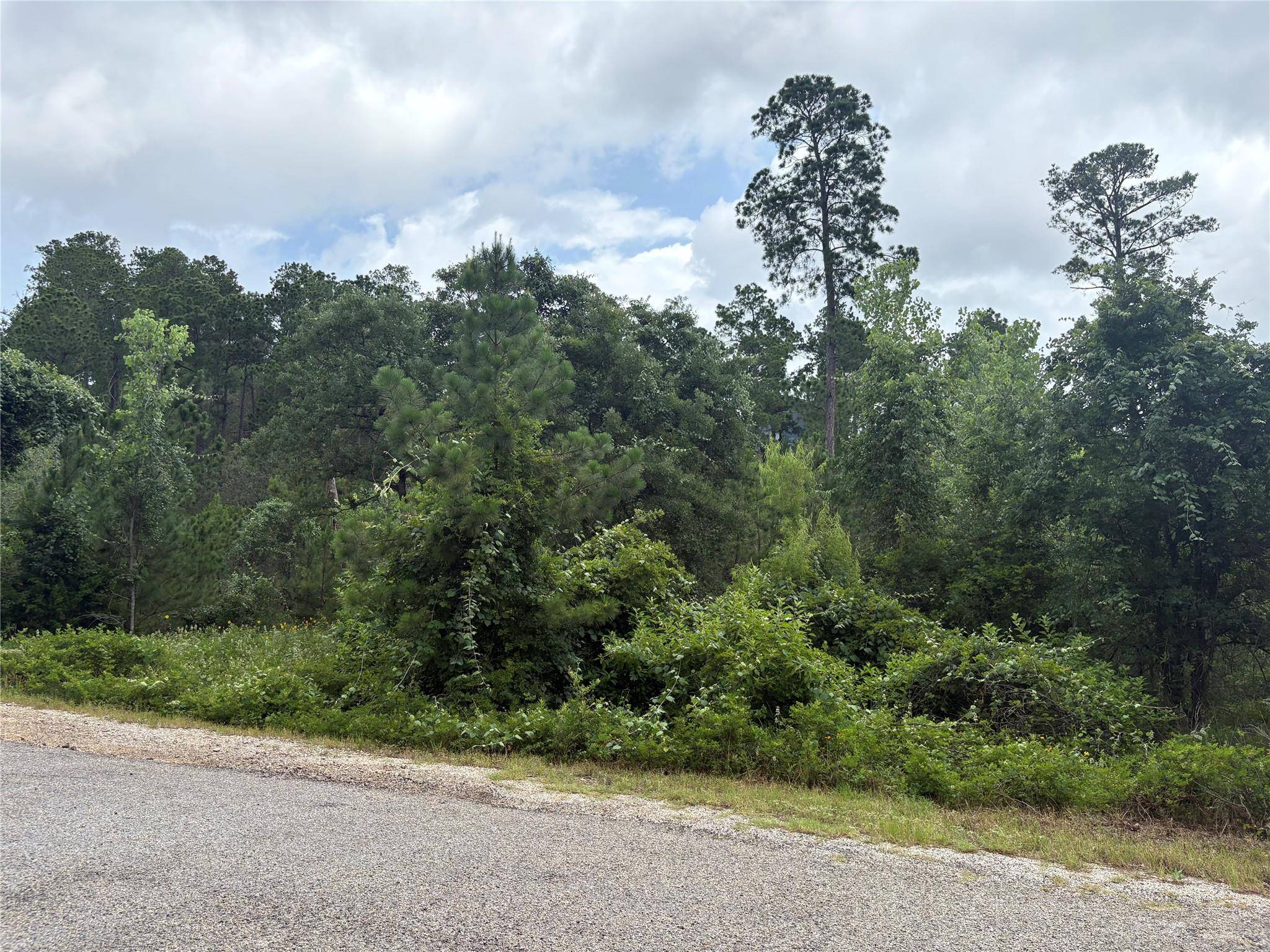 TBD Kaena LN, Bastrop, TX 78602