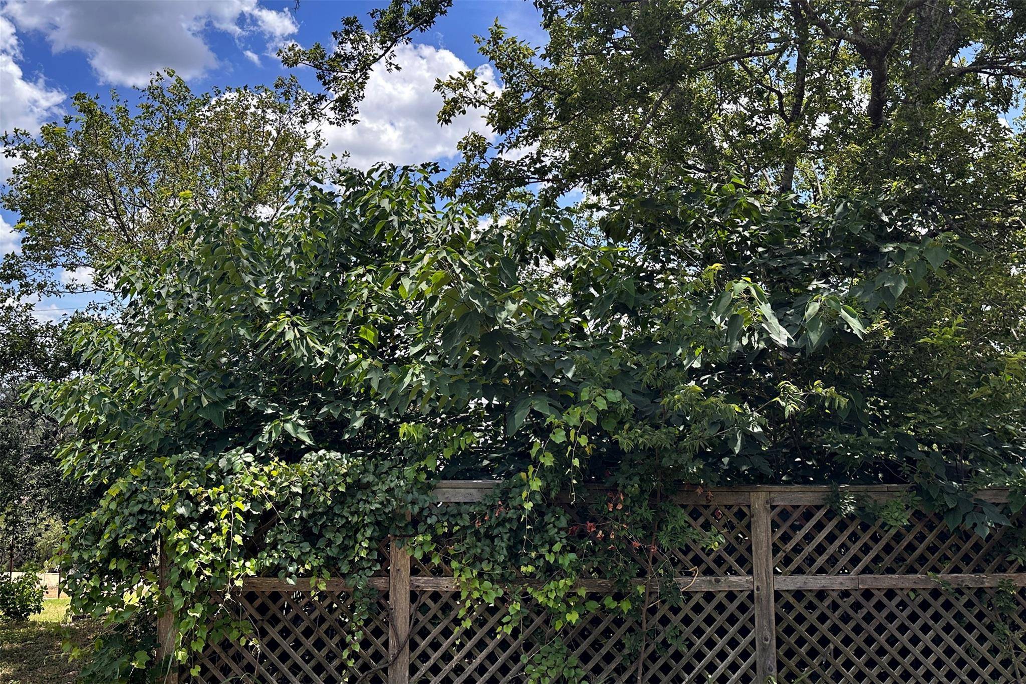 14609 Great Eagle TRL, Austin, TX 78734