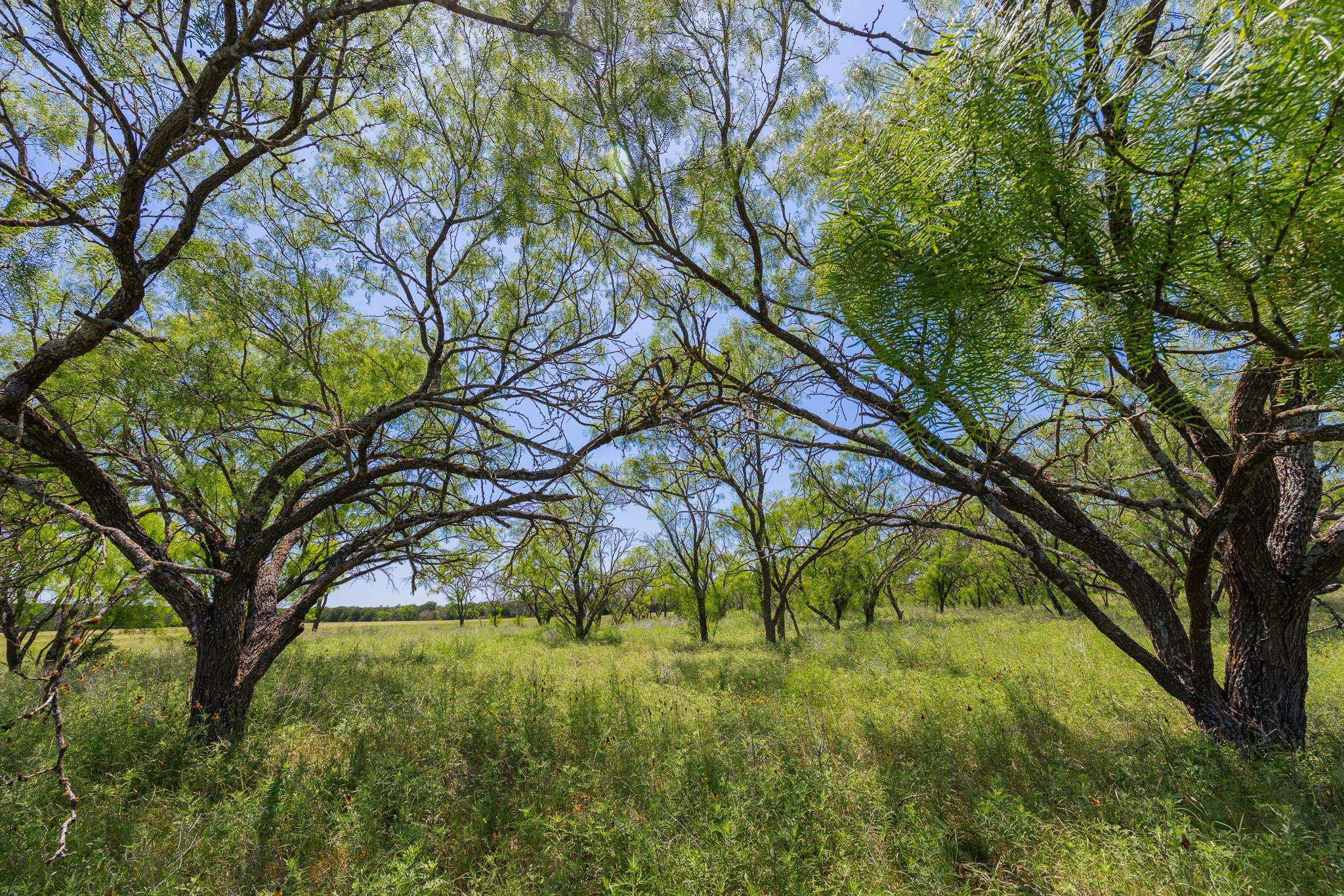 Address not disclosed, Purmela, TX 76566