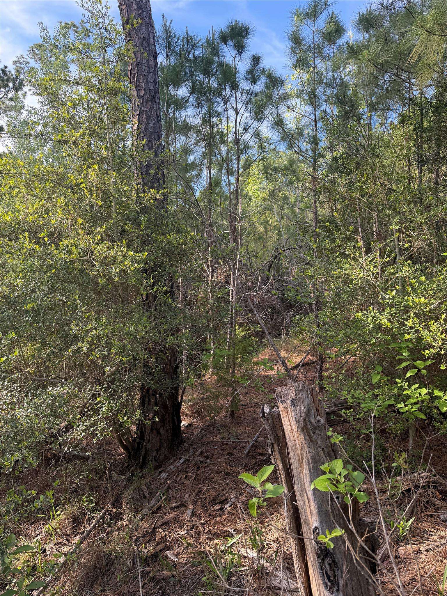 Lot 1384 Pahihi DR, Bastrop, TX 78602