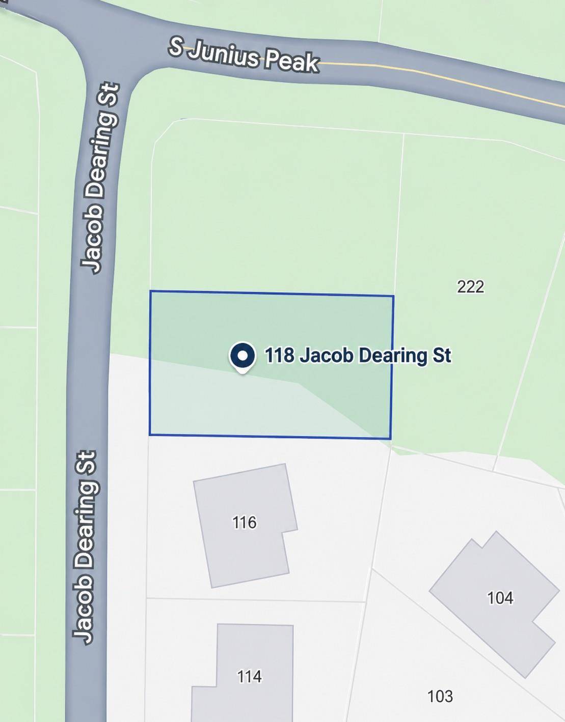 118 Jacob Dearing ST, Blanco, TX 78606