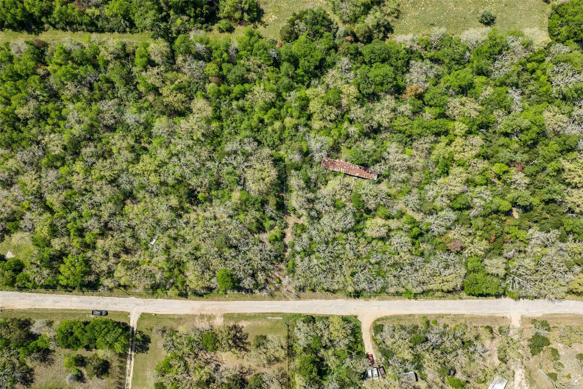 1156 Deerwood DR, Elgin, TX 78621