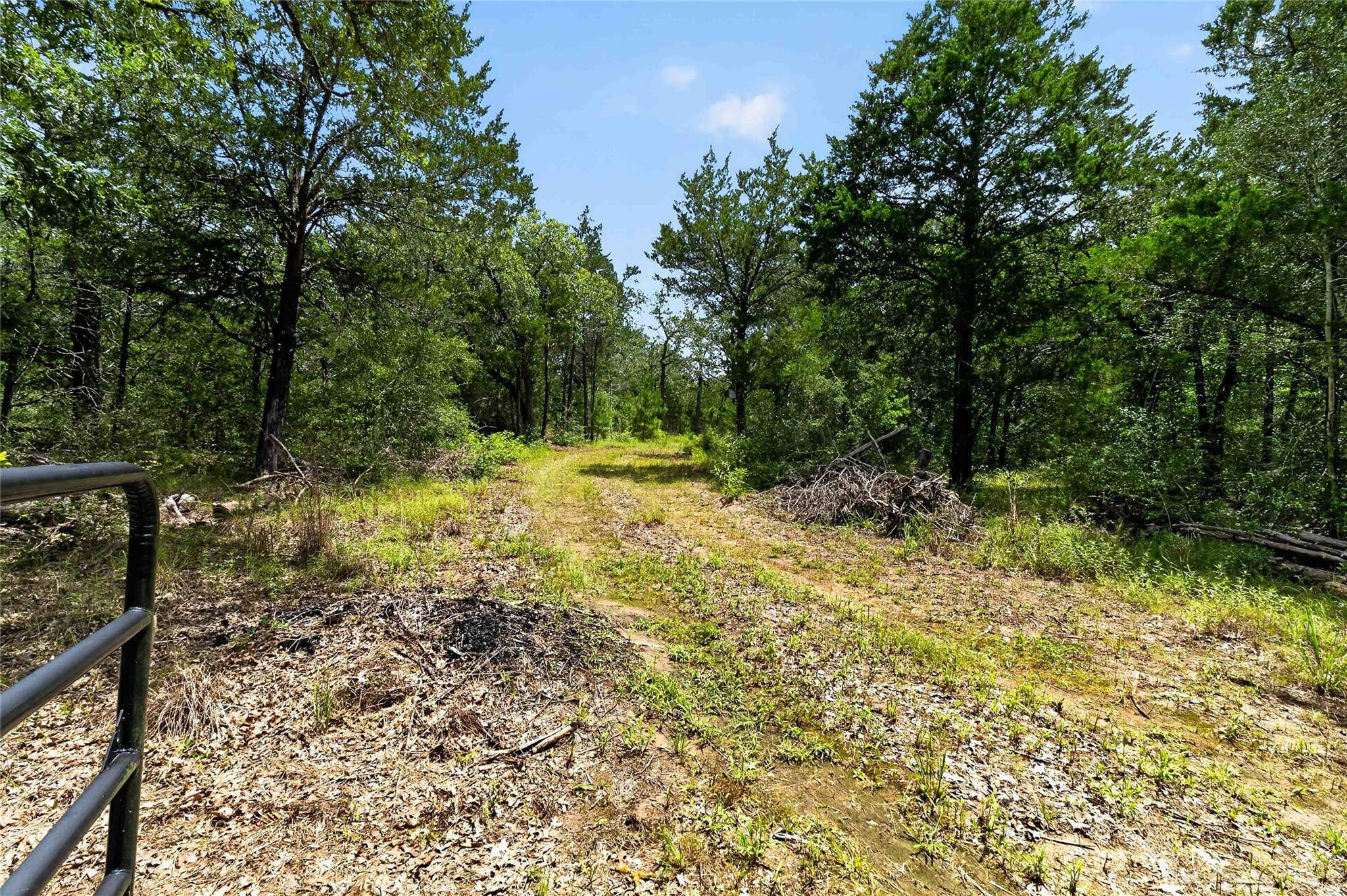 TBD Gotier Trace RD, Paige, TX 78659