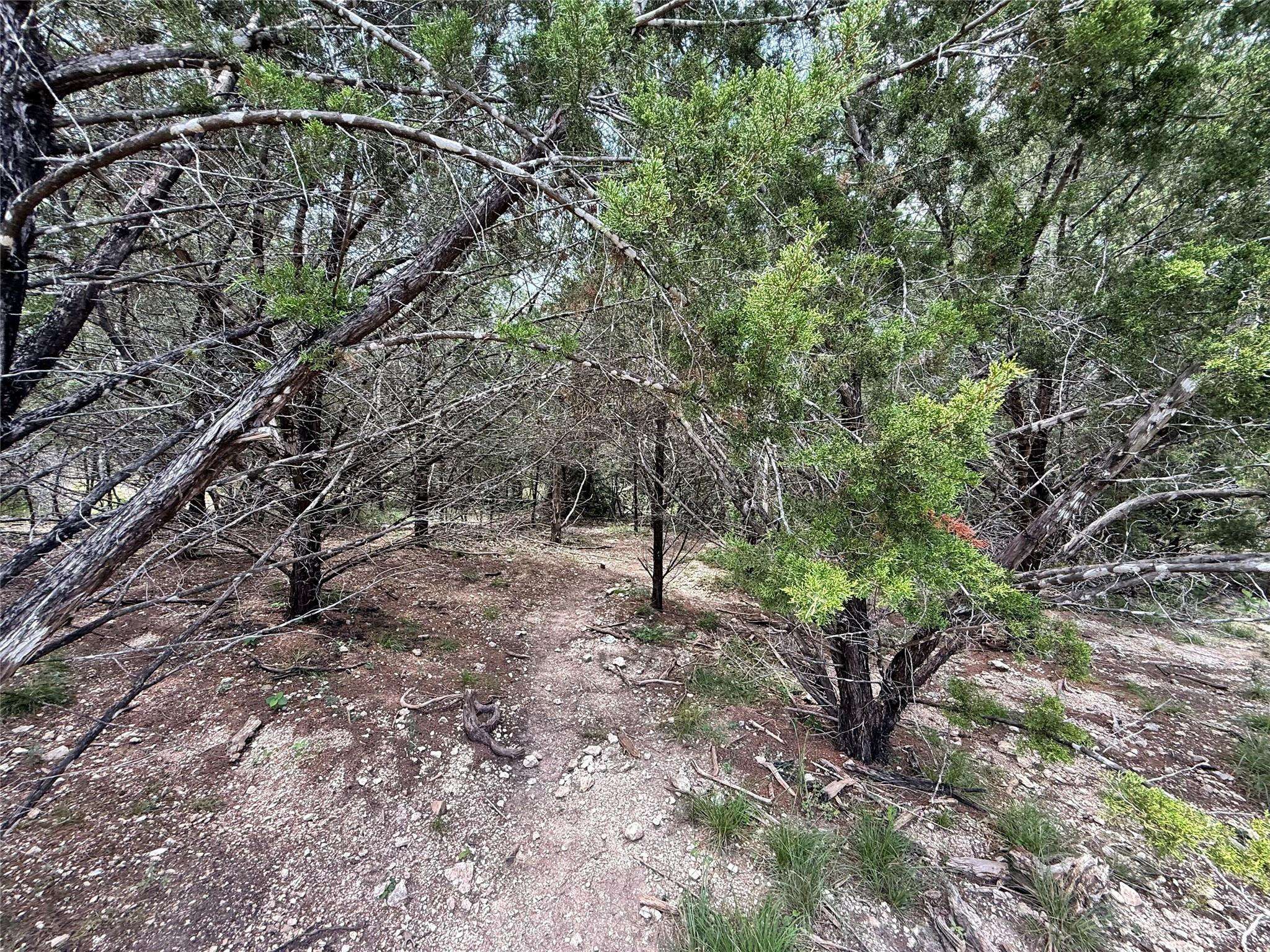 1709 Long Bow DR, Leander, TX 78641