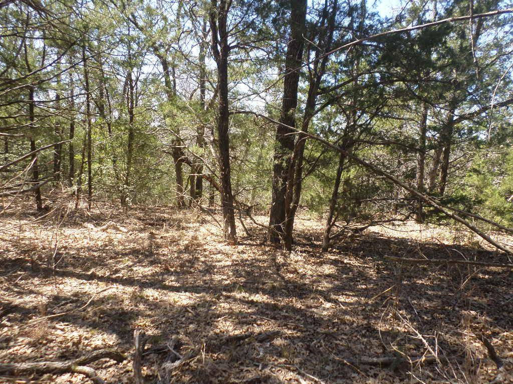 273 Unit H Walter Hoffman RD, Cedar Creek, TX 78612
