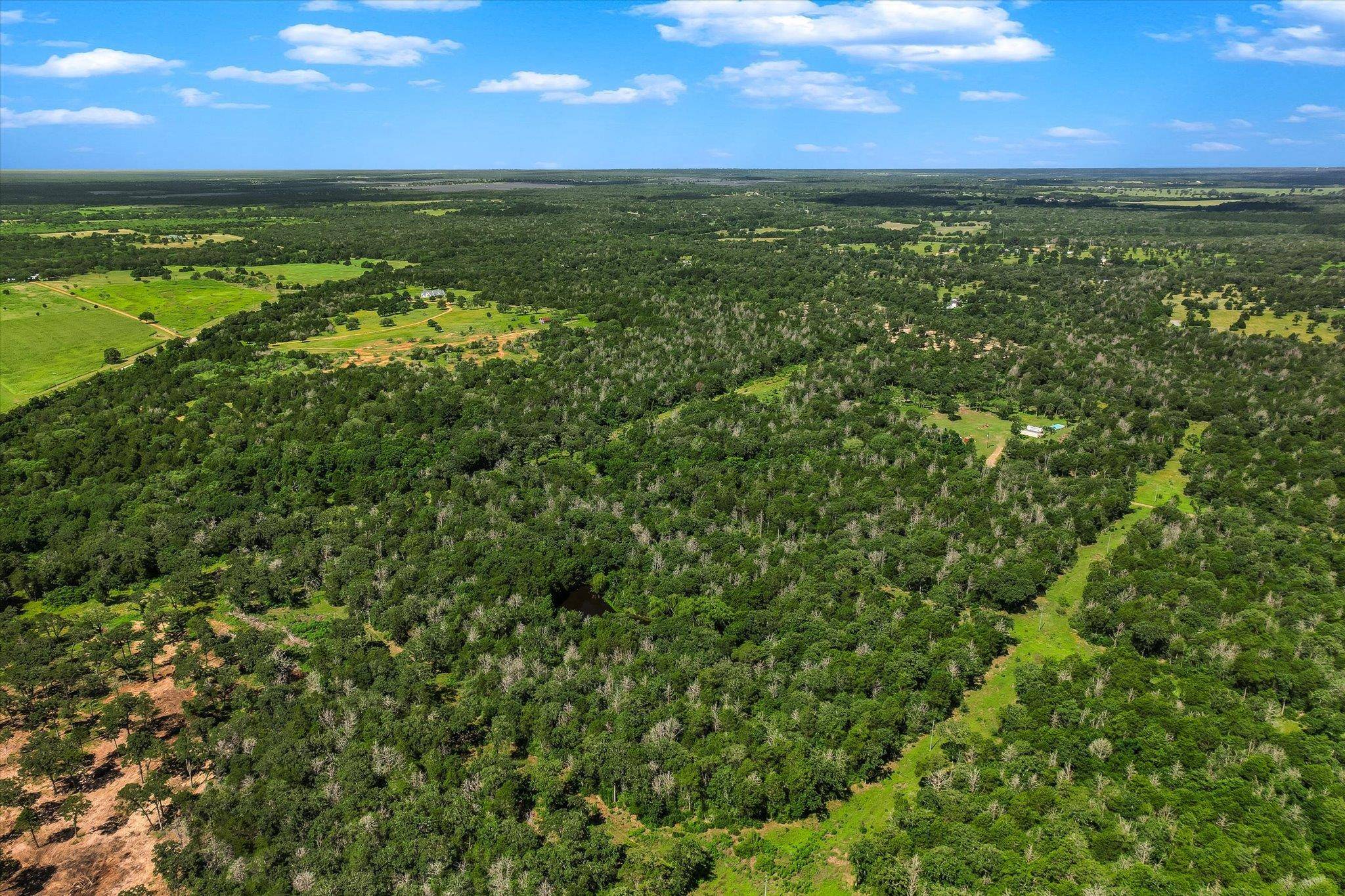 TBD Tracts 12-13 High Crossing RD, Smithville, TX 78957