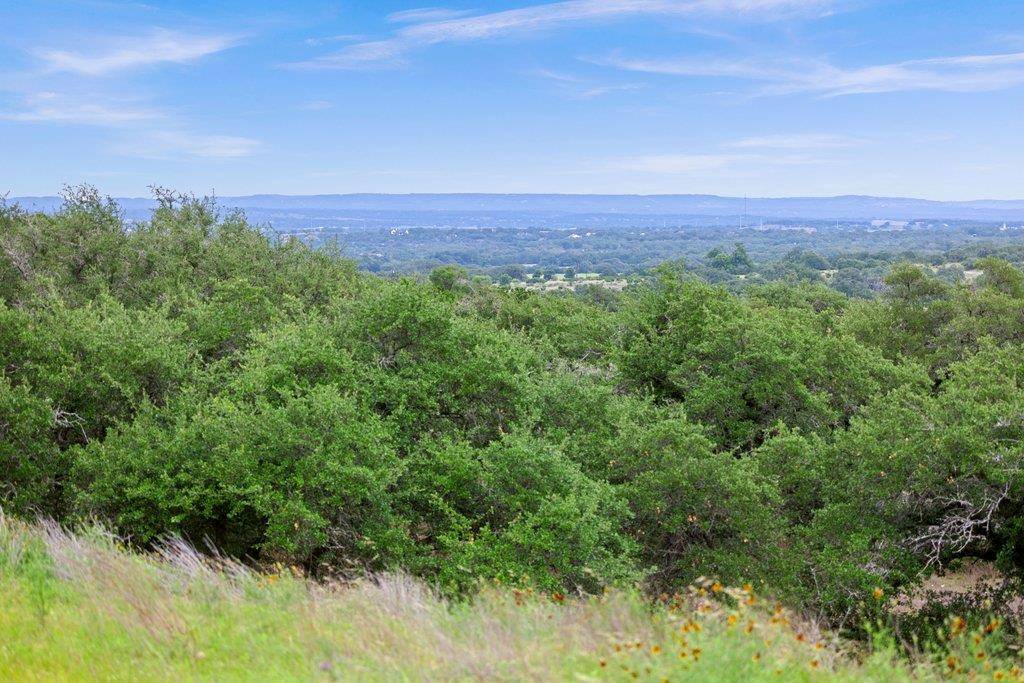 292 N Scenic Hills CT, Blanco, TX 78606