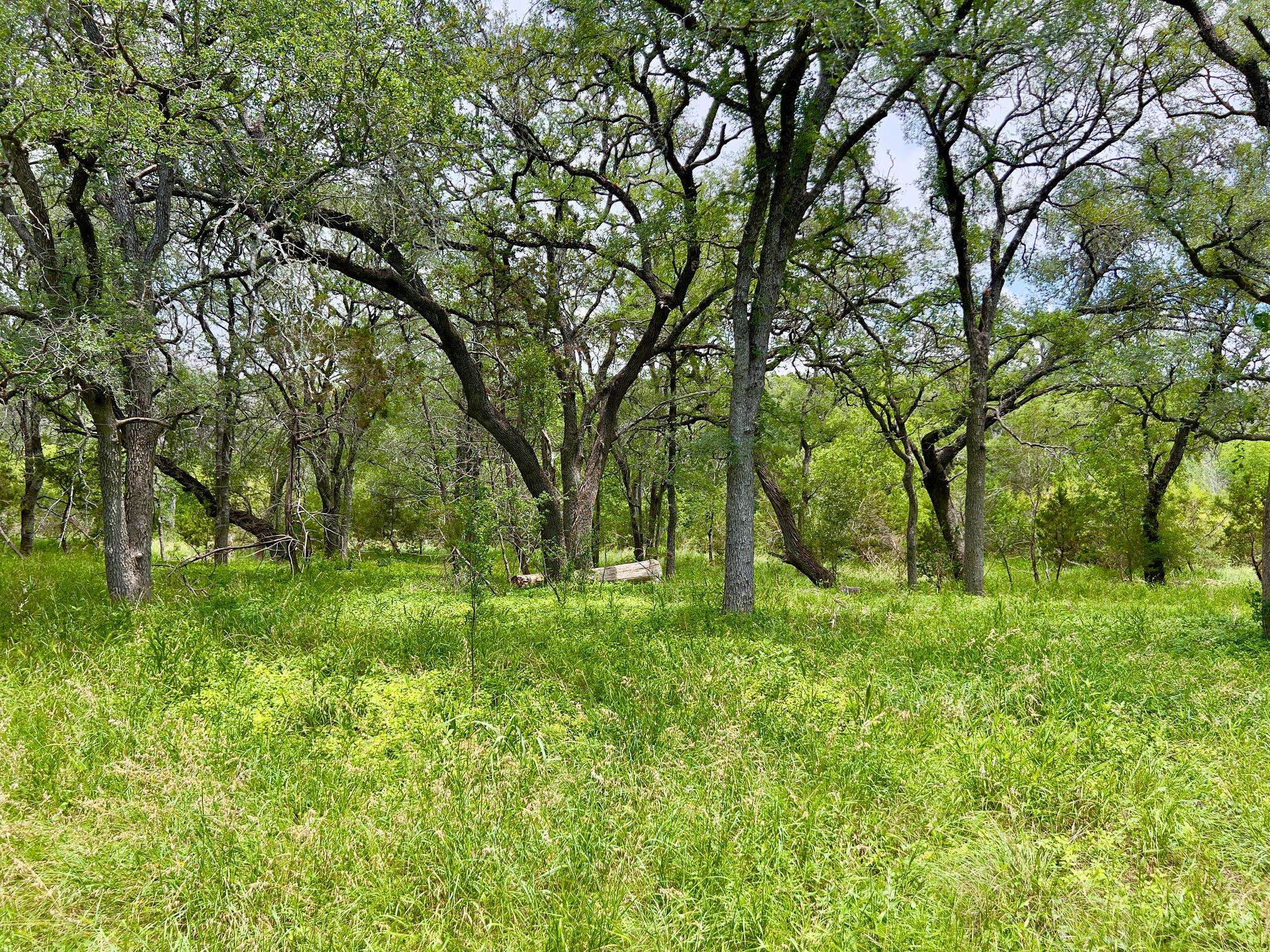 TBD Lot PT 19 Narrows RD, Blanco, TX 78606