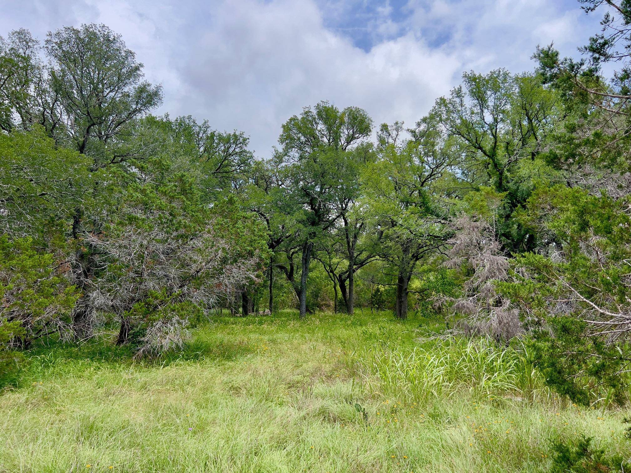 TBD Lot PT 19 Narrows RD, Blanco, TX 78606