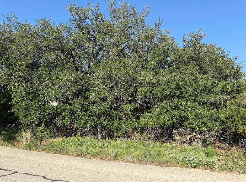 4209 Rockwood DR, Lago Vista, TX 78645