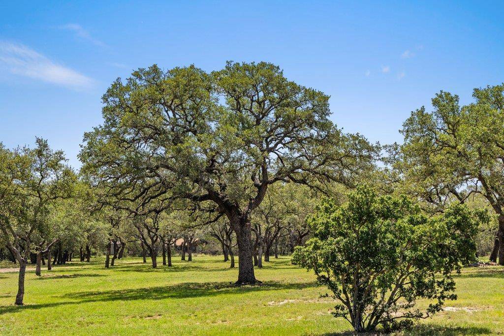 118 E Crestview DR, Johnson City, TX 78636