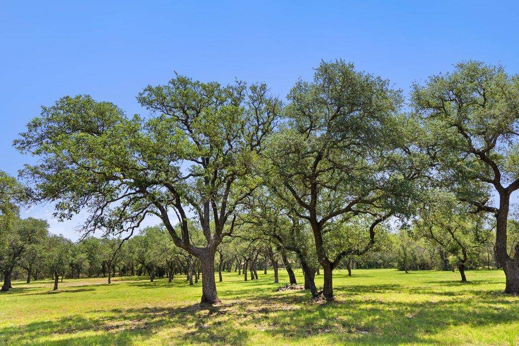 118 E Crestview DR, Johnson City, TX 78636