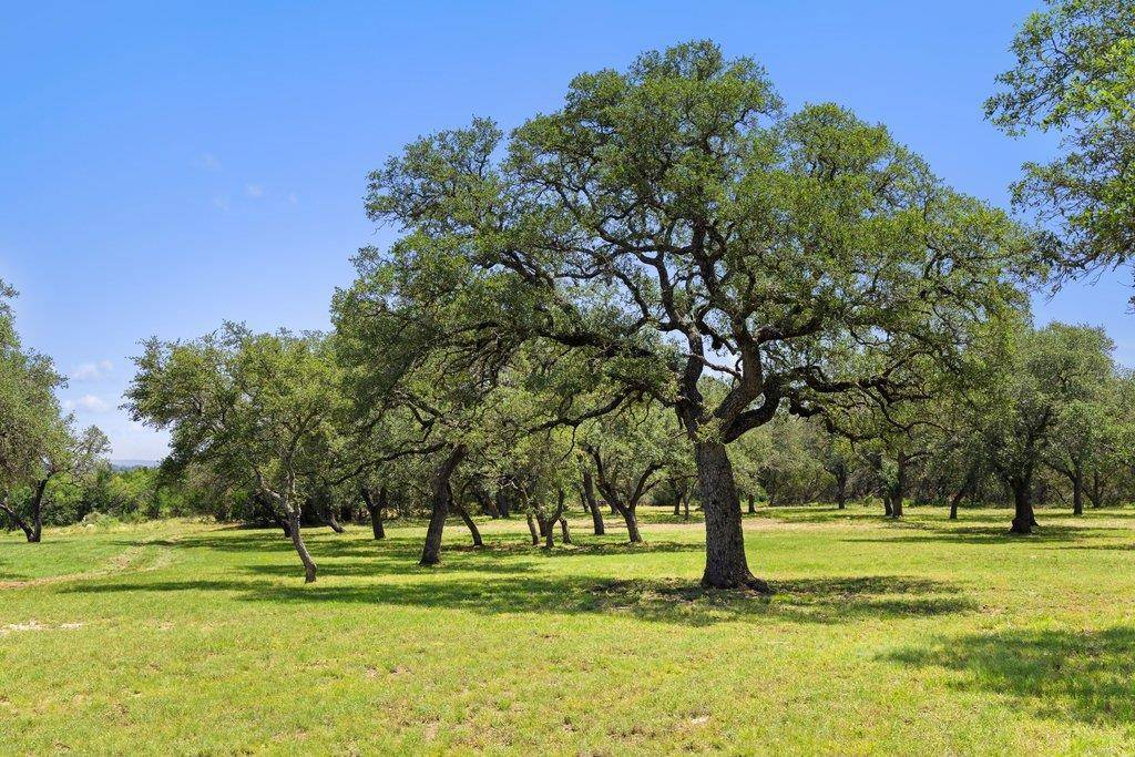118 E Crestview DR, Johnson City, TX 78636