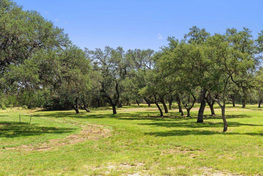 118 E Crestview DR, Johnson City, TX 78636