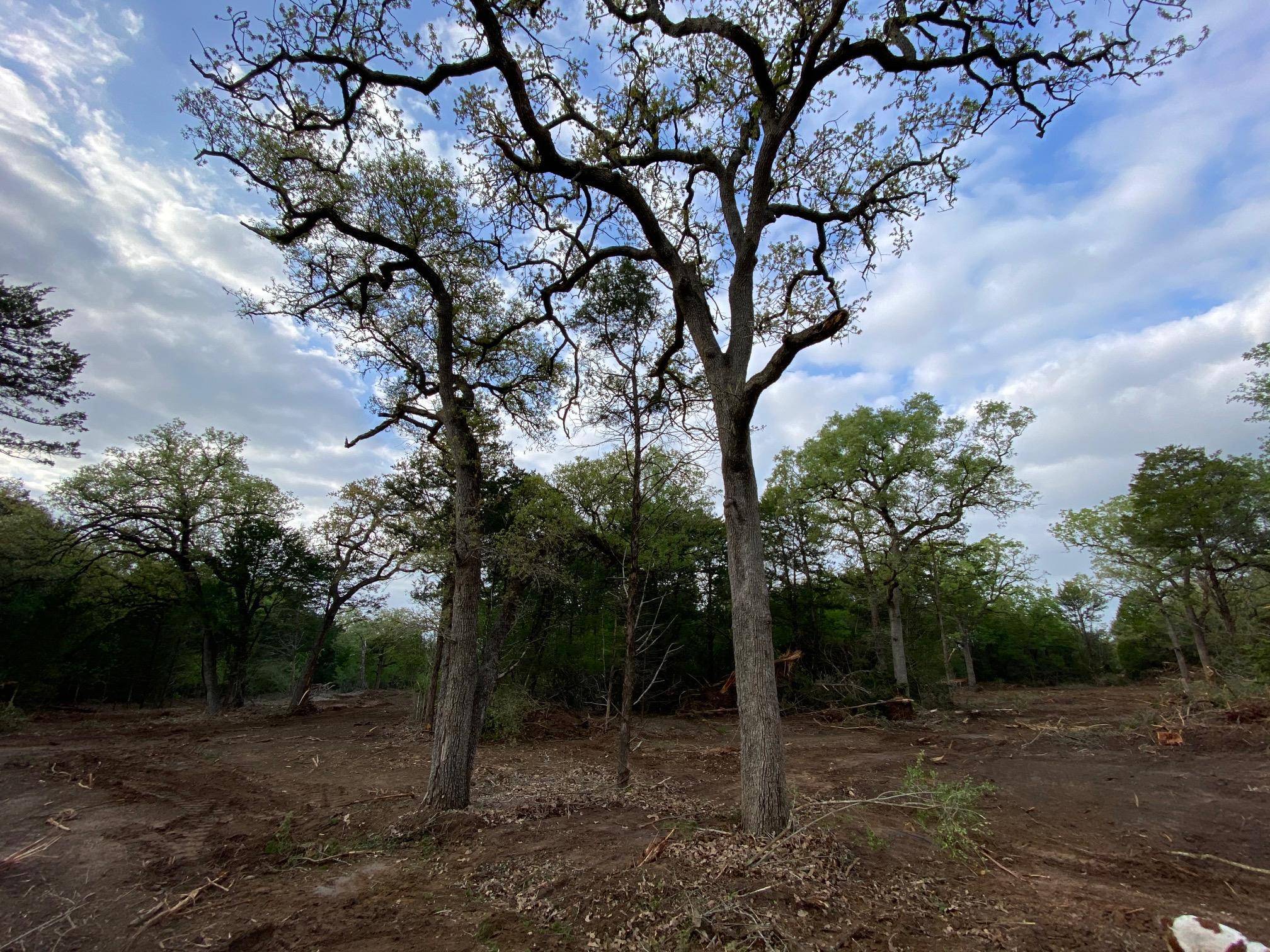TBD Parcel 1 Paffen DR, Paige, TX 78659