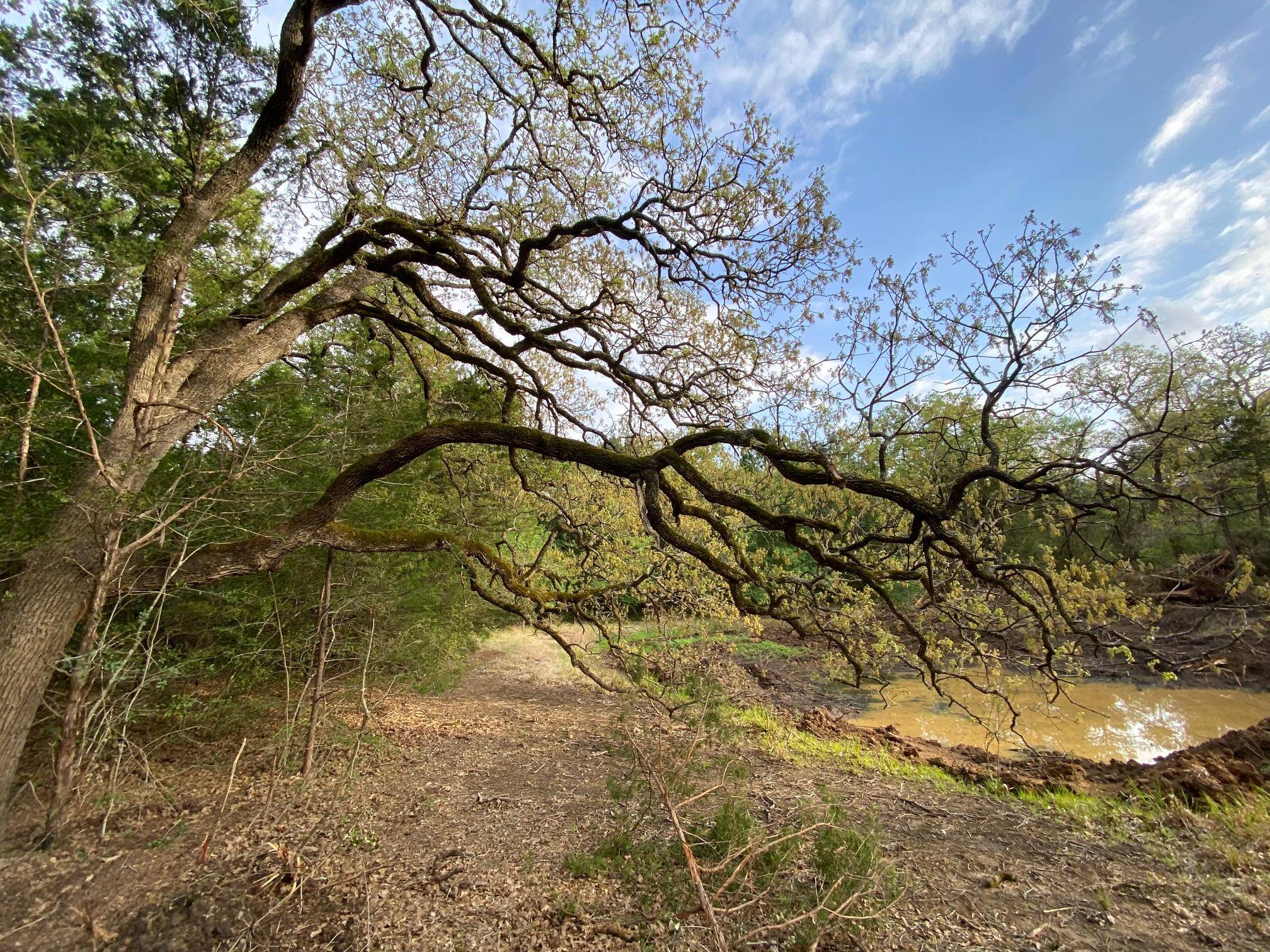 TBD Parcel 1 Paffen DR, Paige, TX 78659