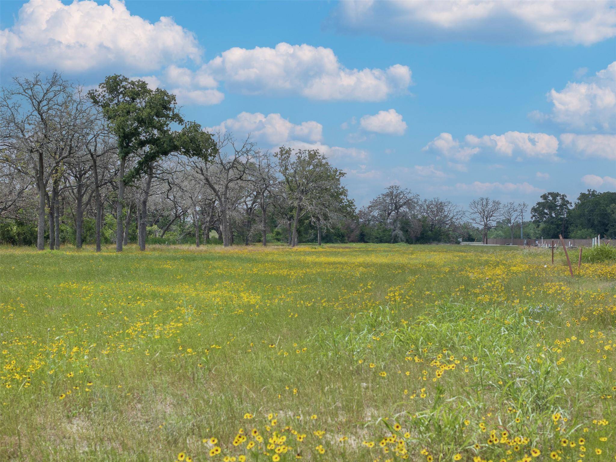 TBD Lot 3 Lake Day Drive, Somerville, TX 77879