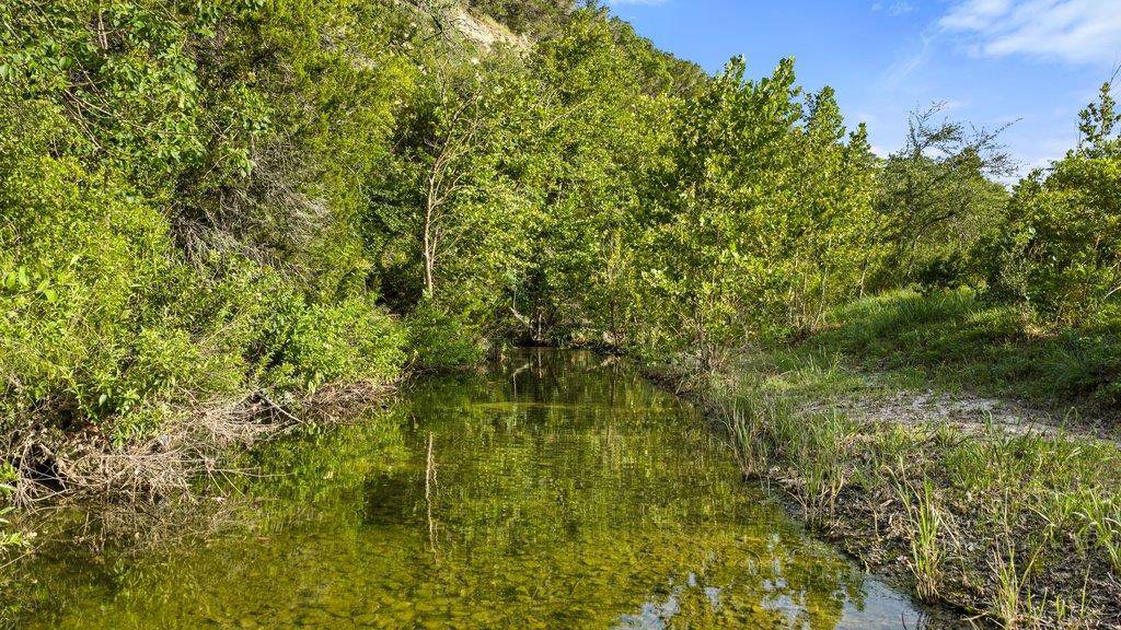 4605 Wild Cow CV, Spicewood, TX 78669